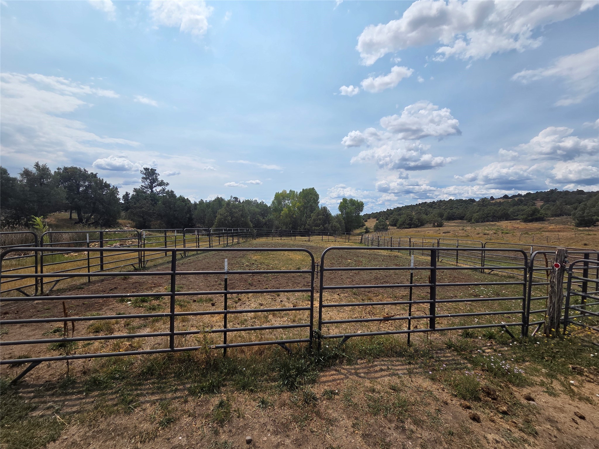 191 County Road 341