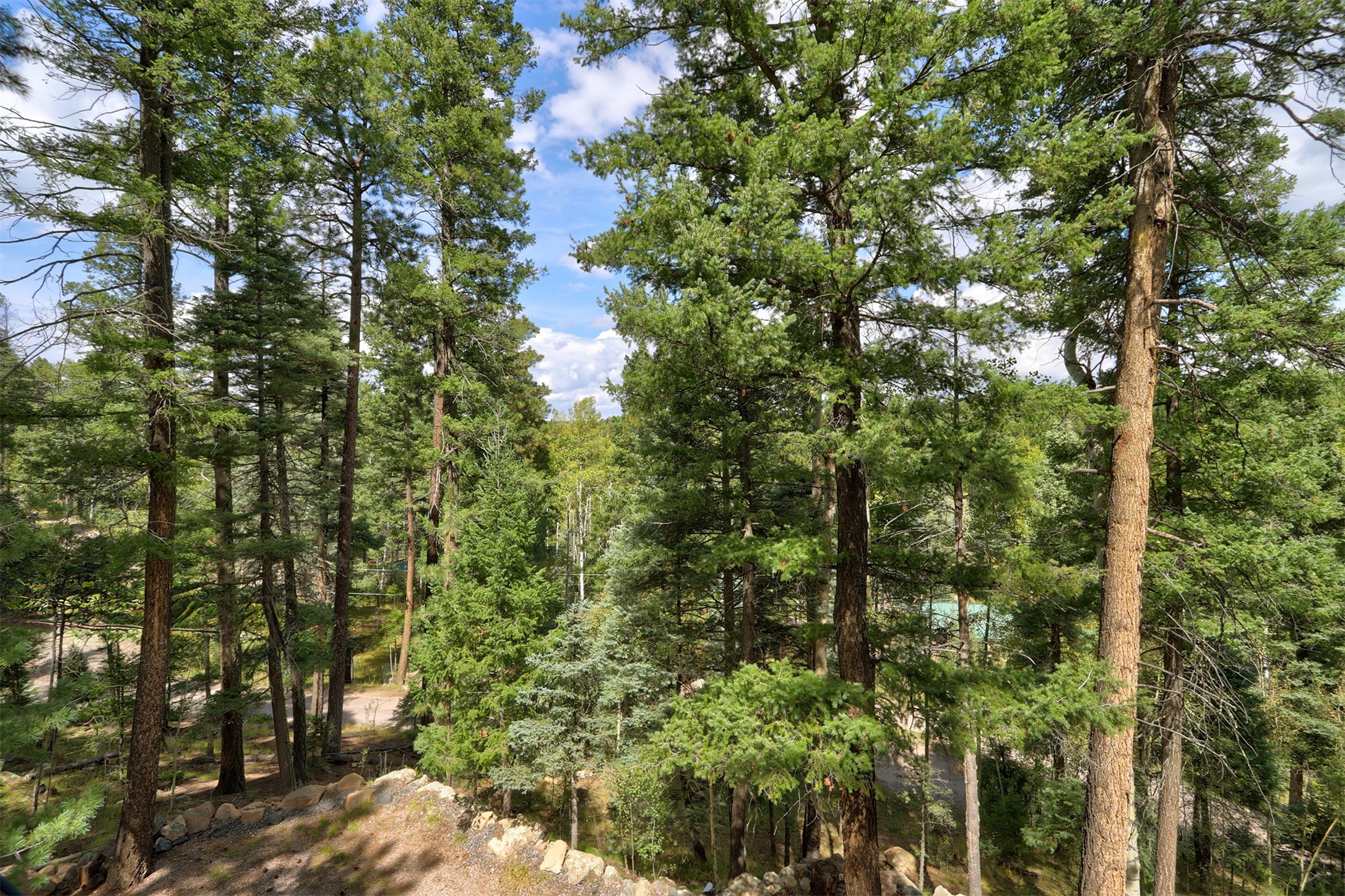 118 Porcupine Trail
