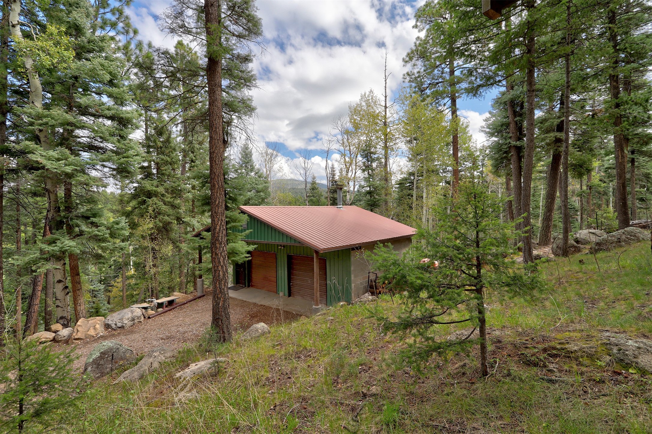 118 Porcupine Trail