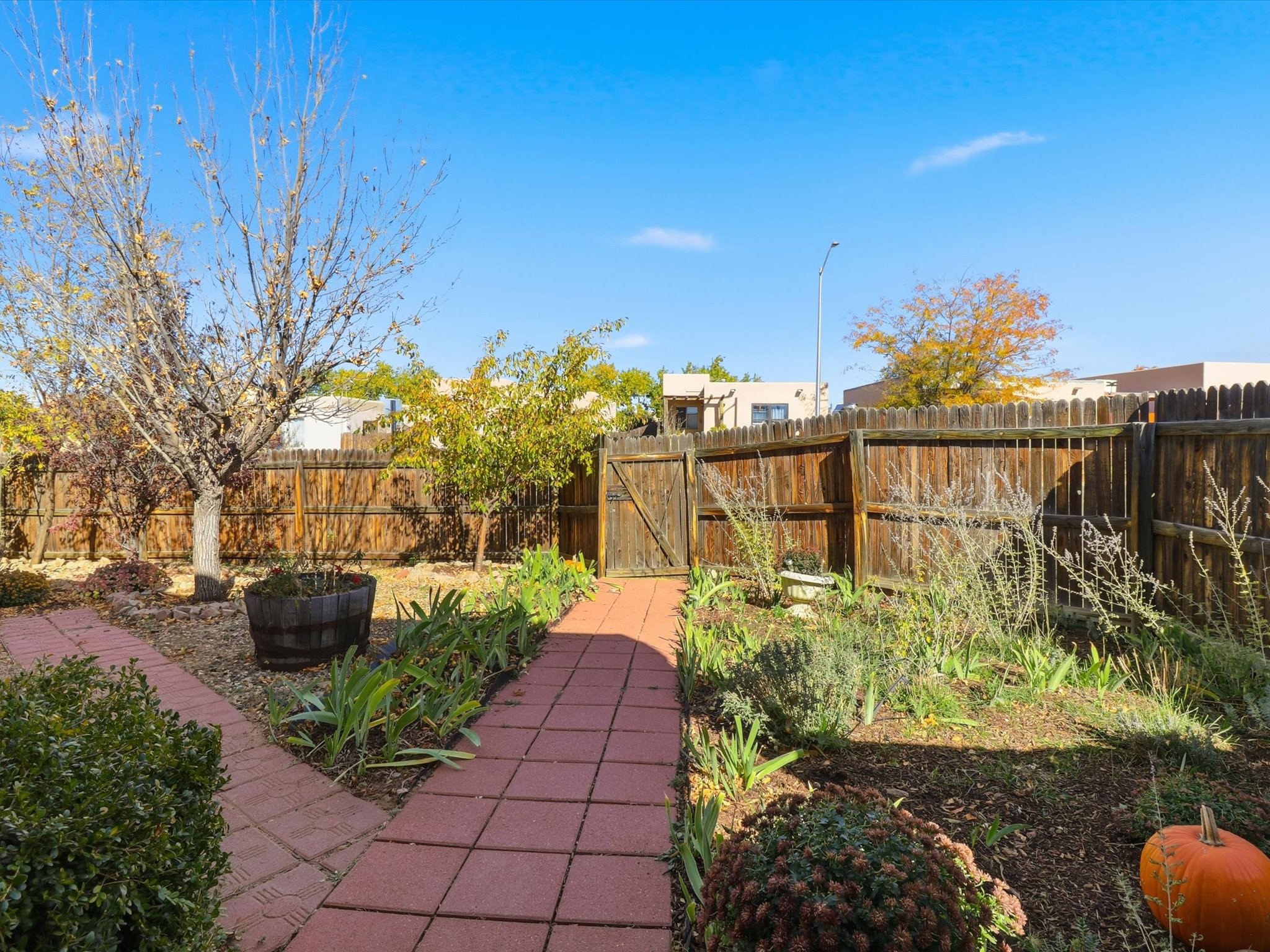 6356 Jaguar Drive