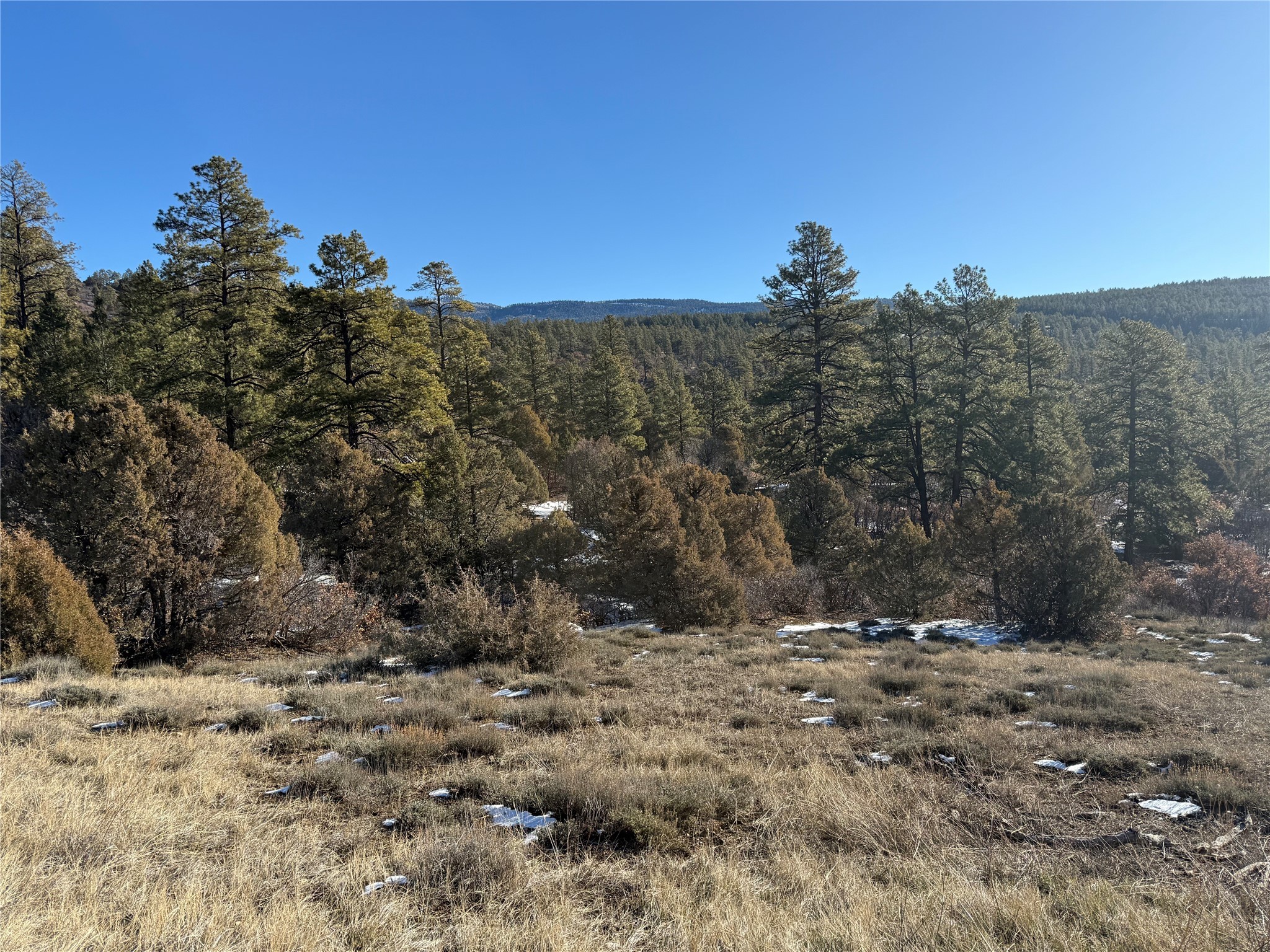 0 Unit 1, Tr-9B, Ponderosa