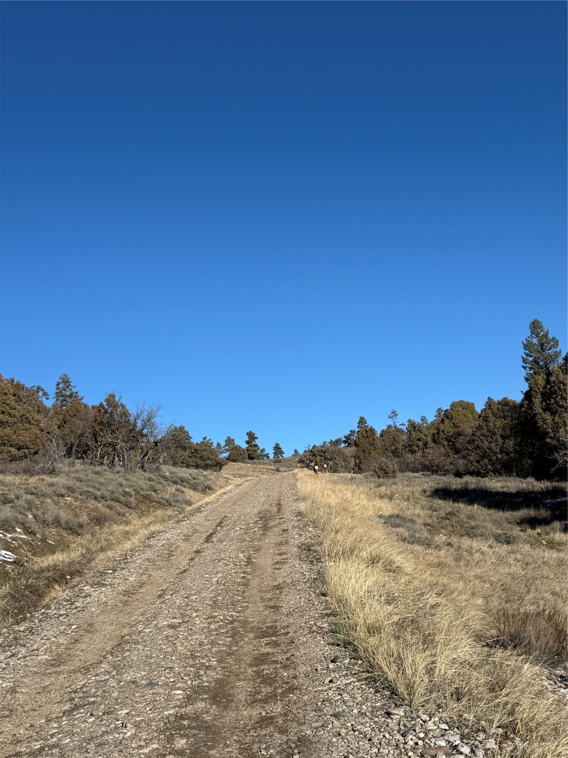 0 Unit 1, Tr-9B, Ponderosa