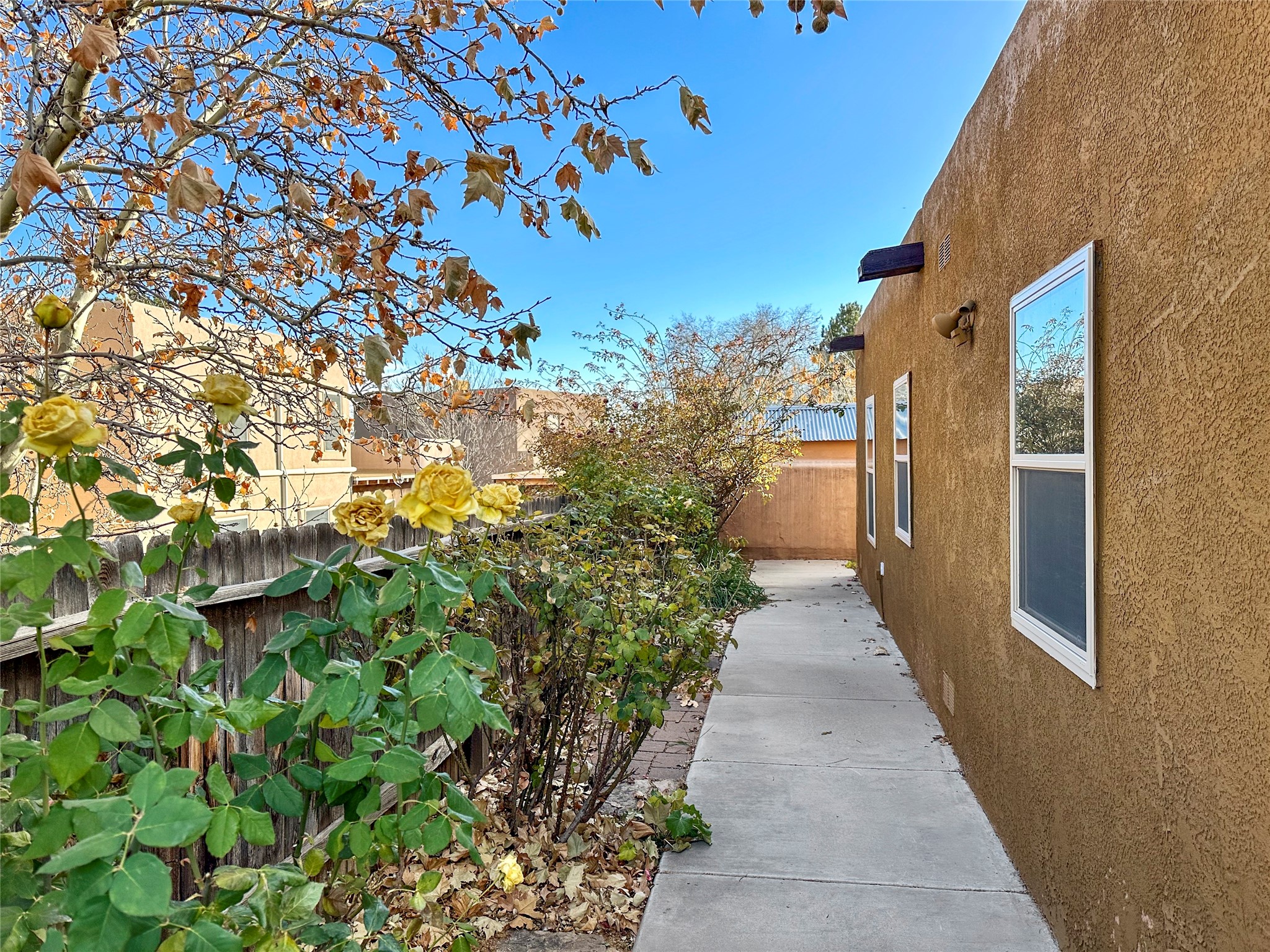 4208 Coyote Lane