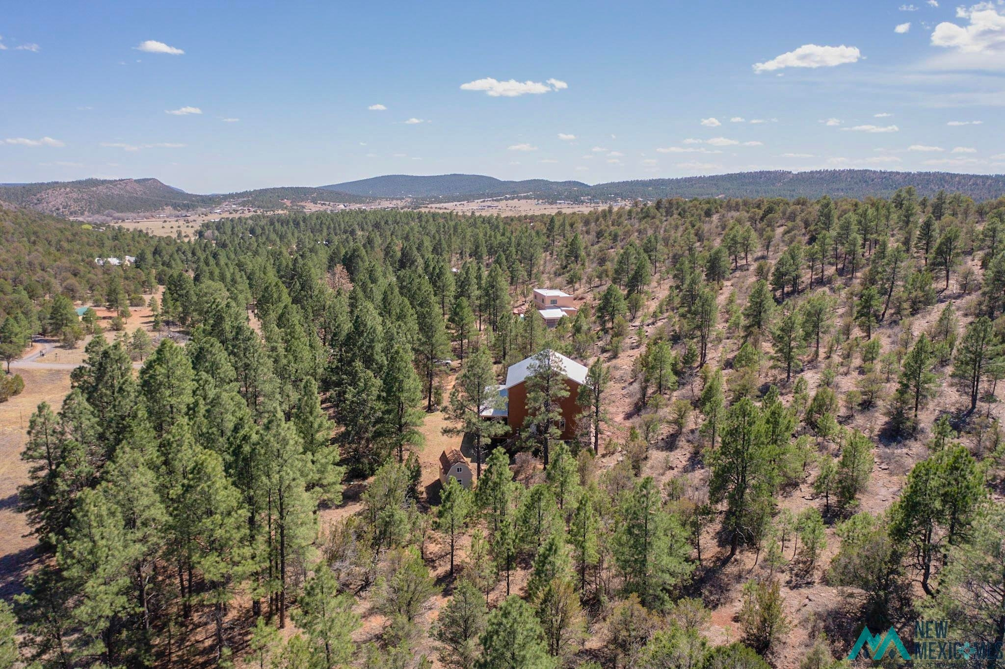 75 Roadrunner Road