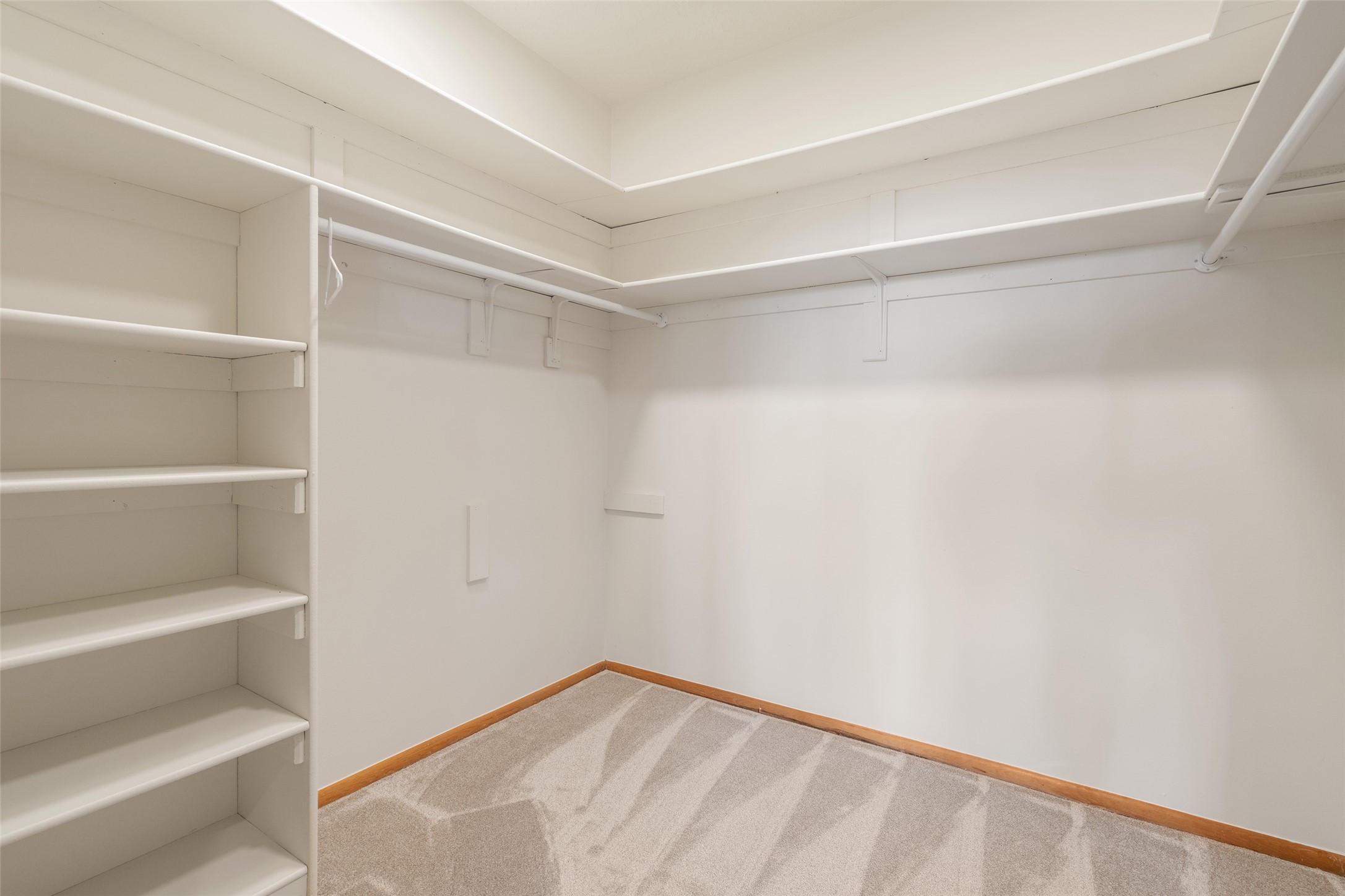 17 Condesa Road