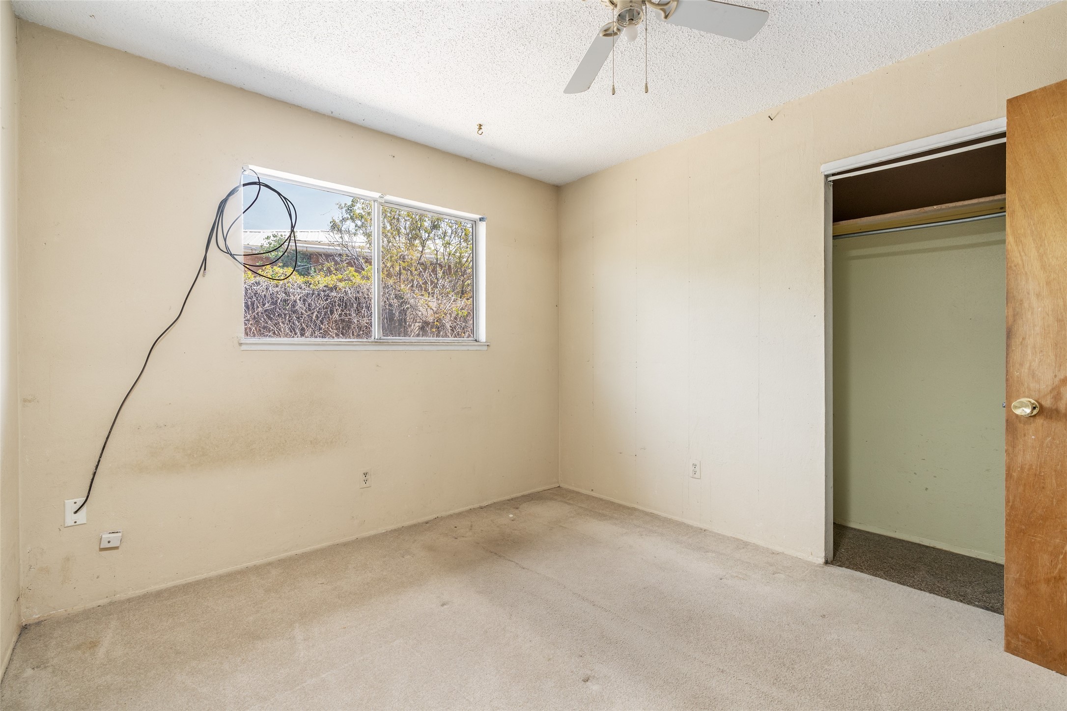 1727 Callejon Emilia