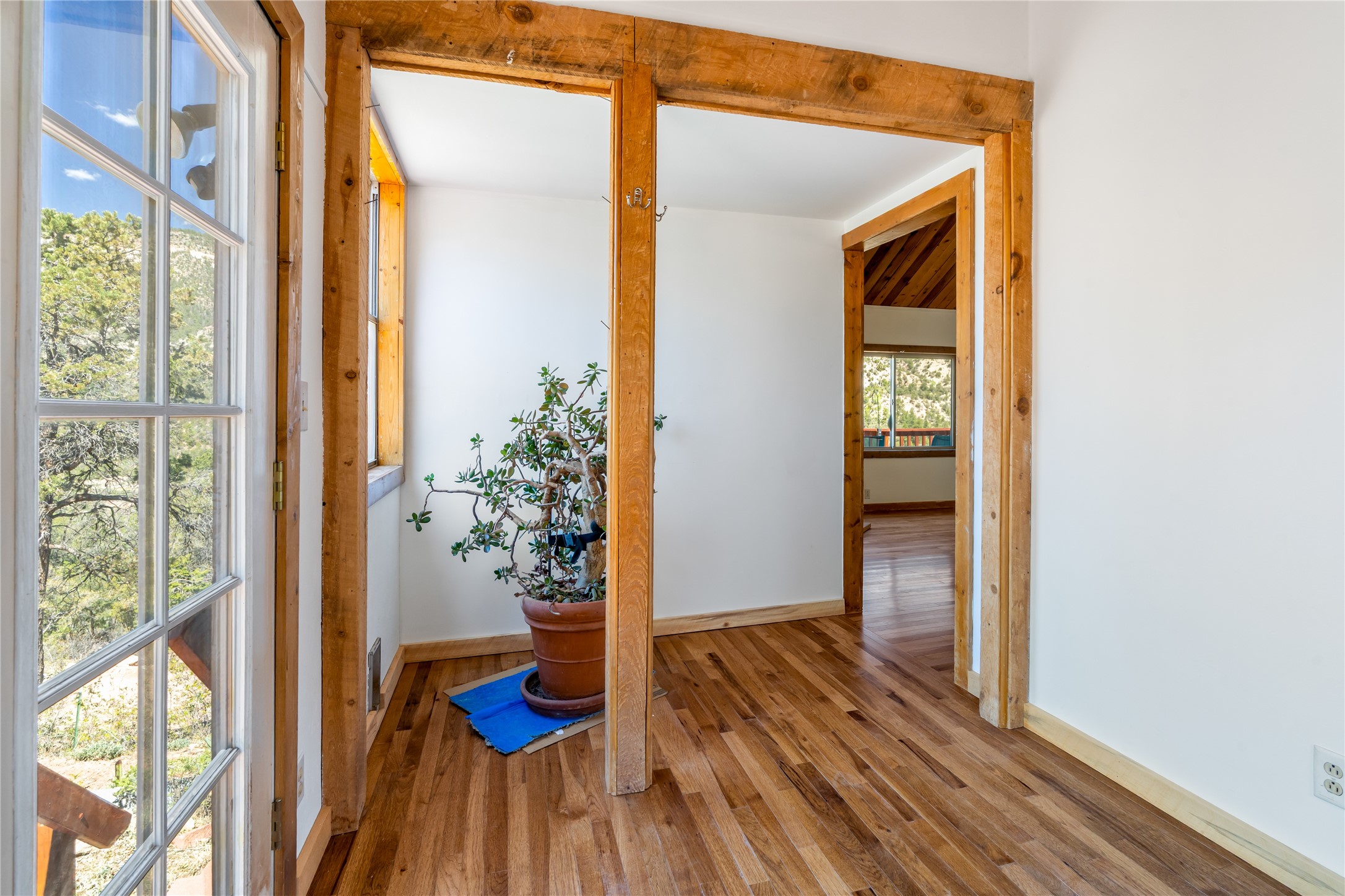 1499 San Diego Loop