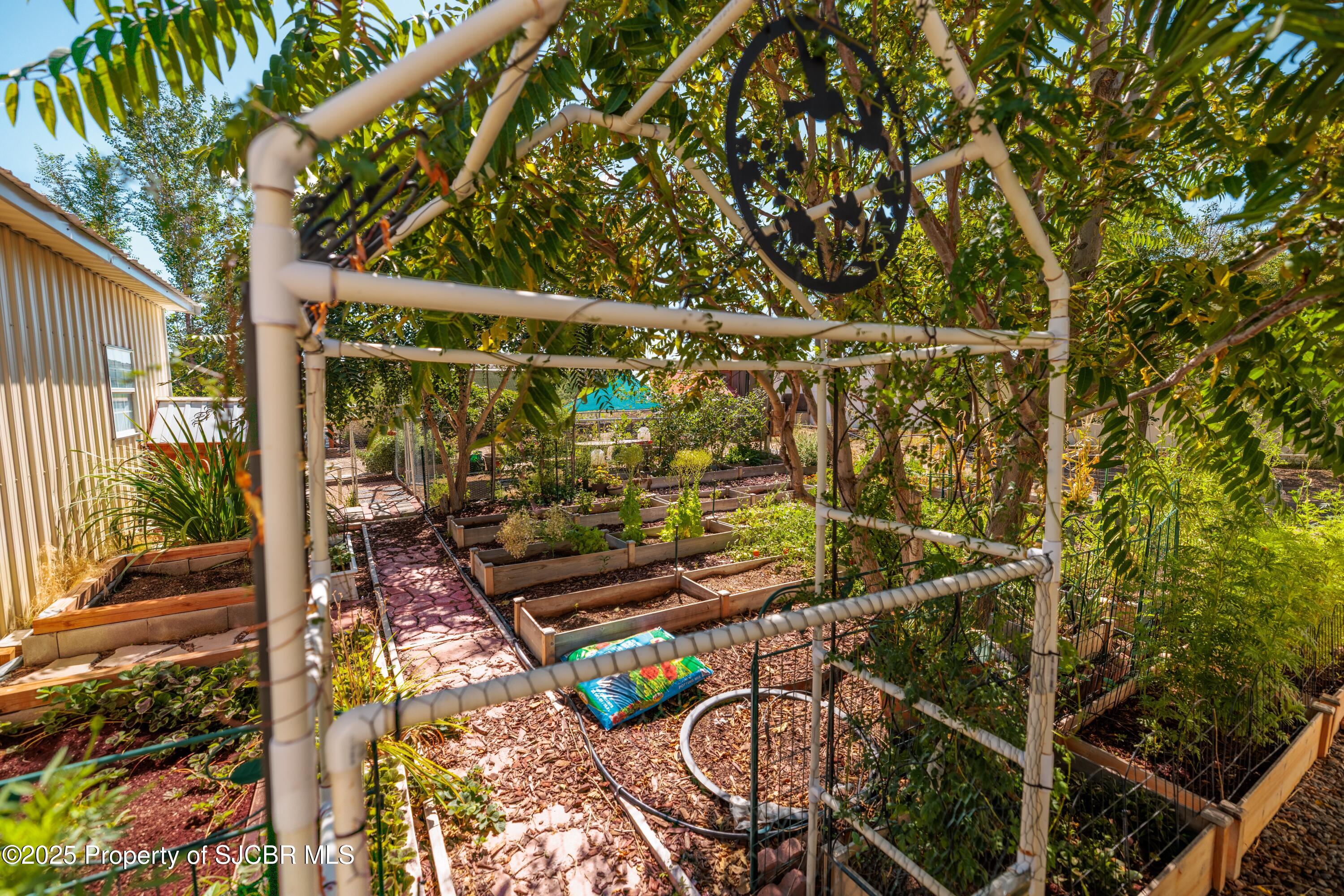 909 ROAD 4990