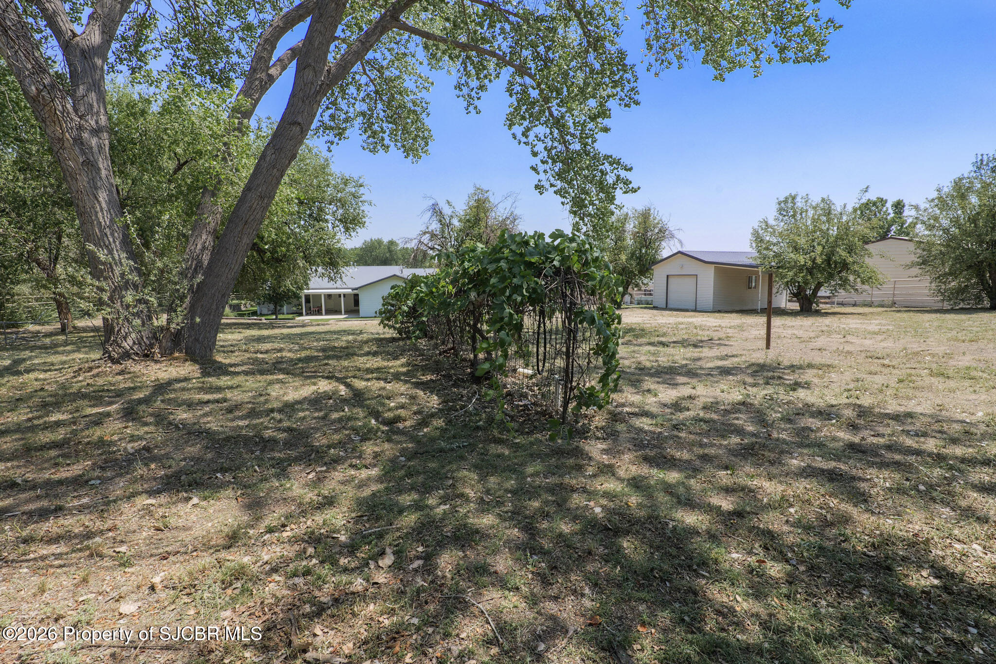 1205 N CHAPARRAL Lane