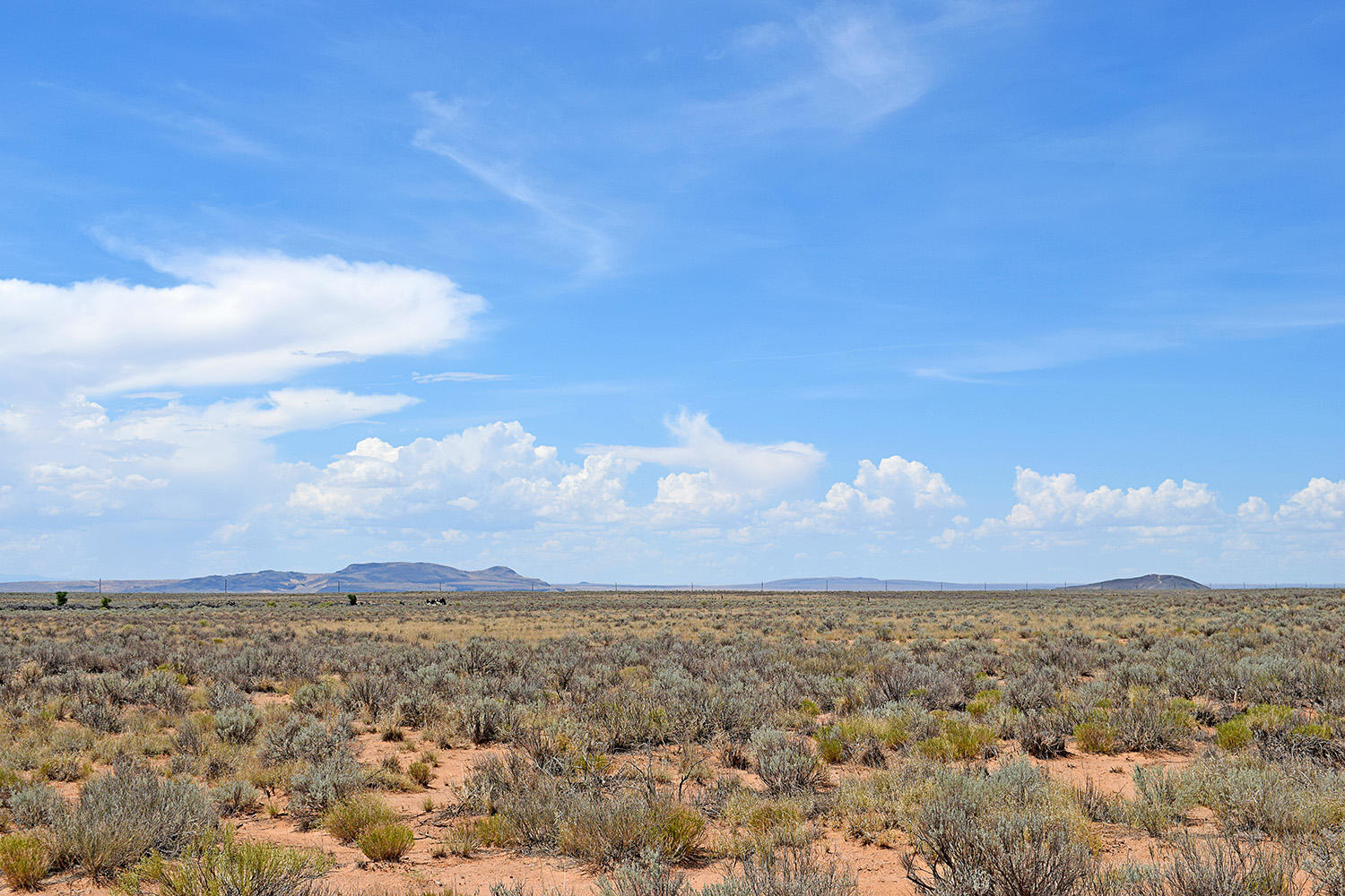 Lot 18 Rio Del Oro 12