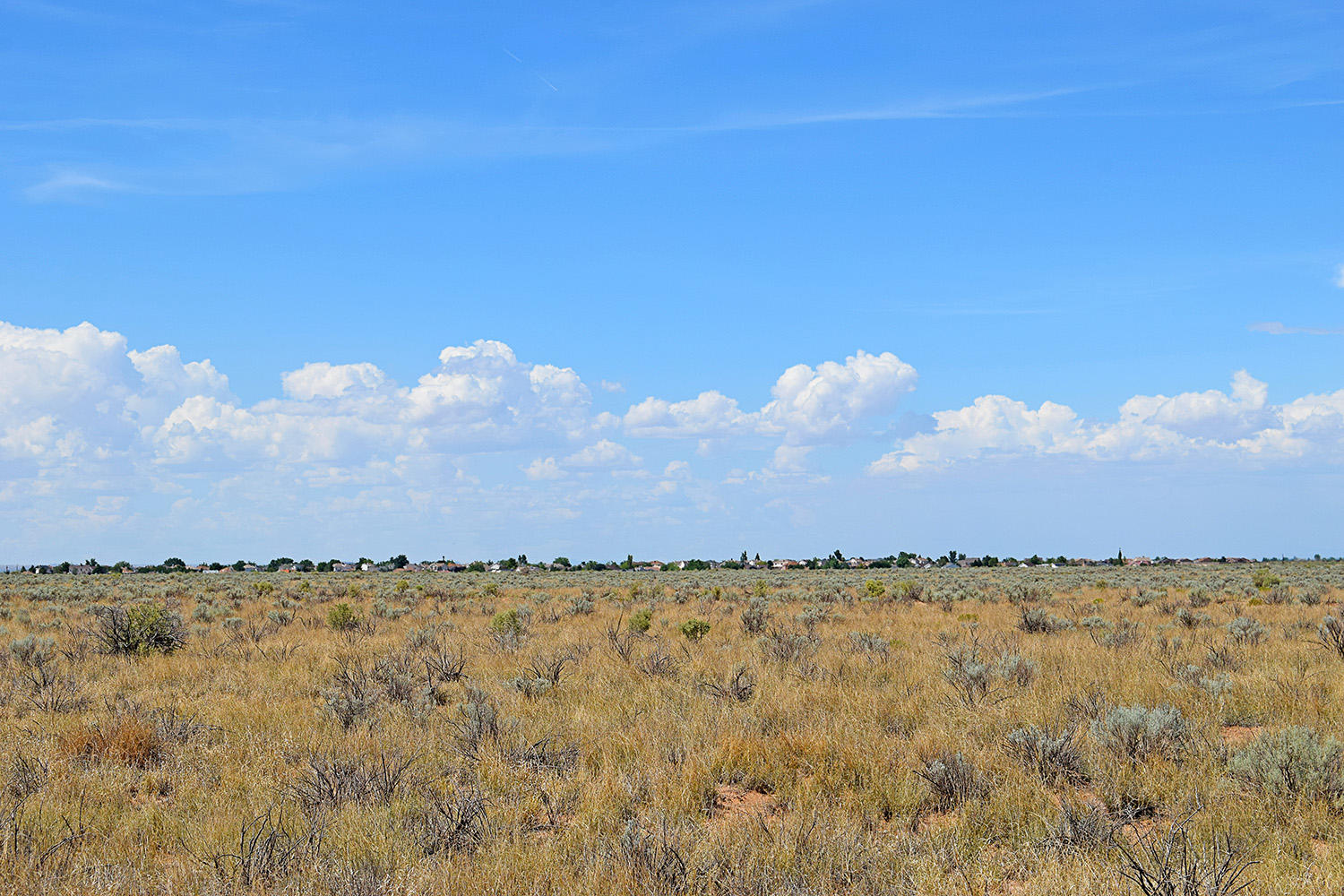 Lot 8 Rio Del Oro 9