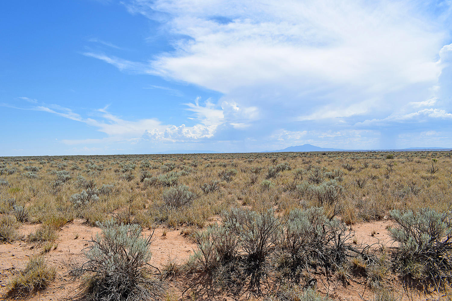 Lot 8 Rio Del Oro 9