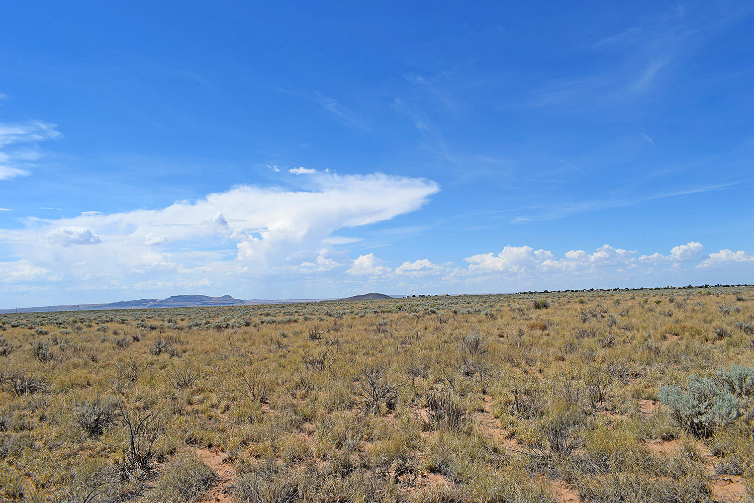 Lot 8 Rio Del Oro 9