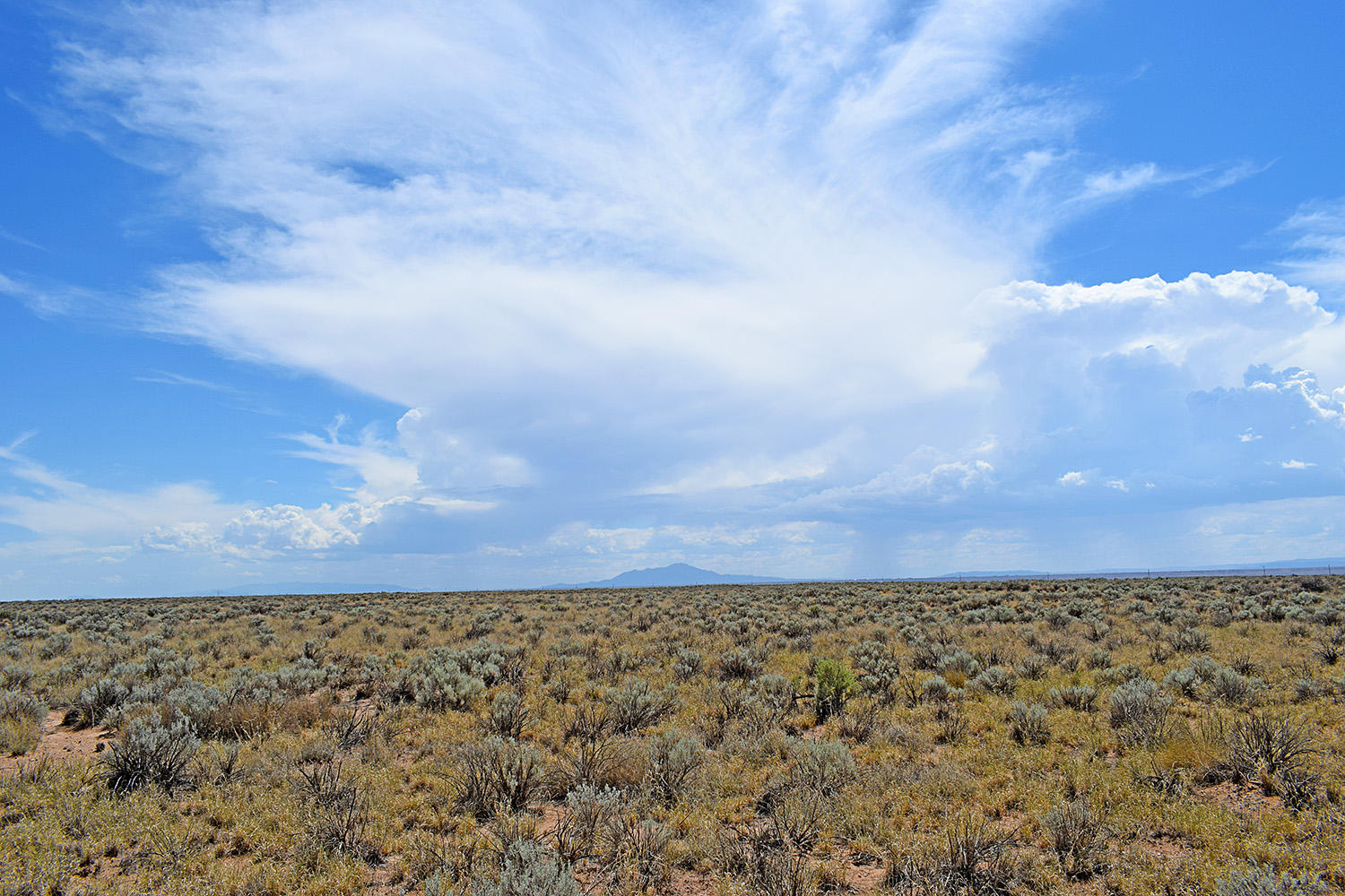 Lot 8 Rio Del Oro 9