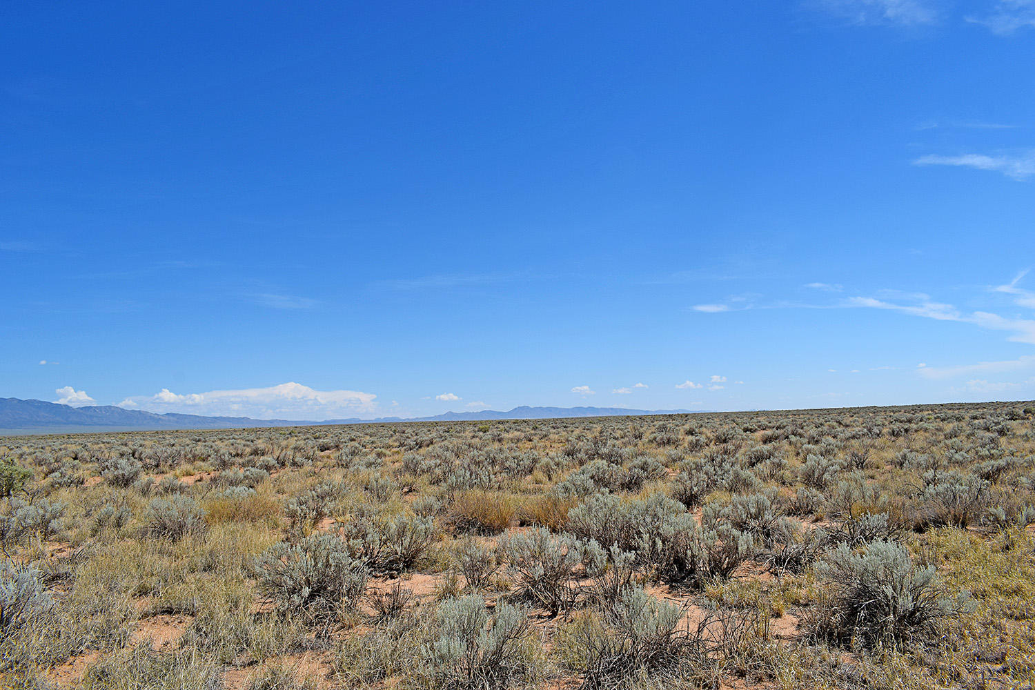 Lot 8 Rio Del Oro 9