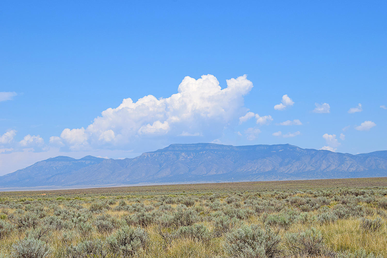 Lot 8 Rio Del Oro 12