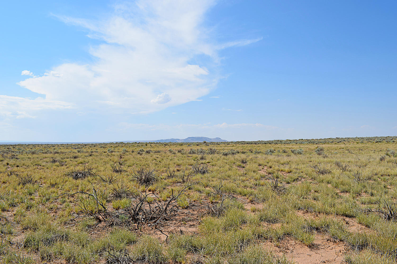 Lot 10 Rio Del Oro 53