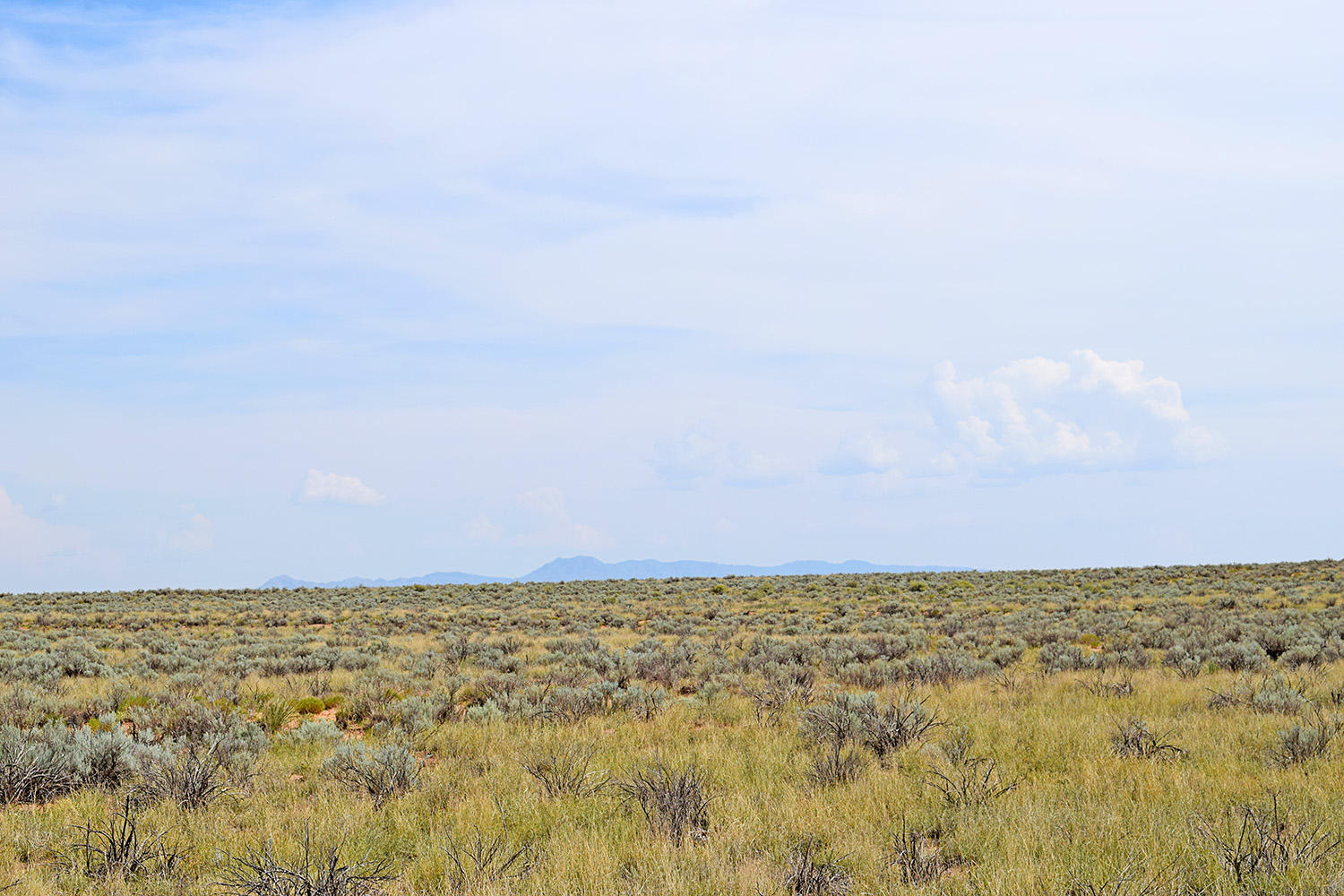 Lot 10 Rio Del Oro 53