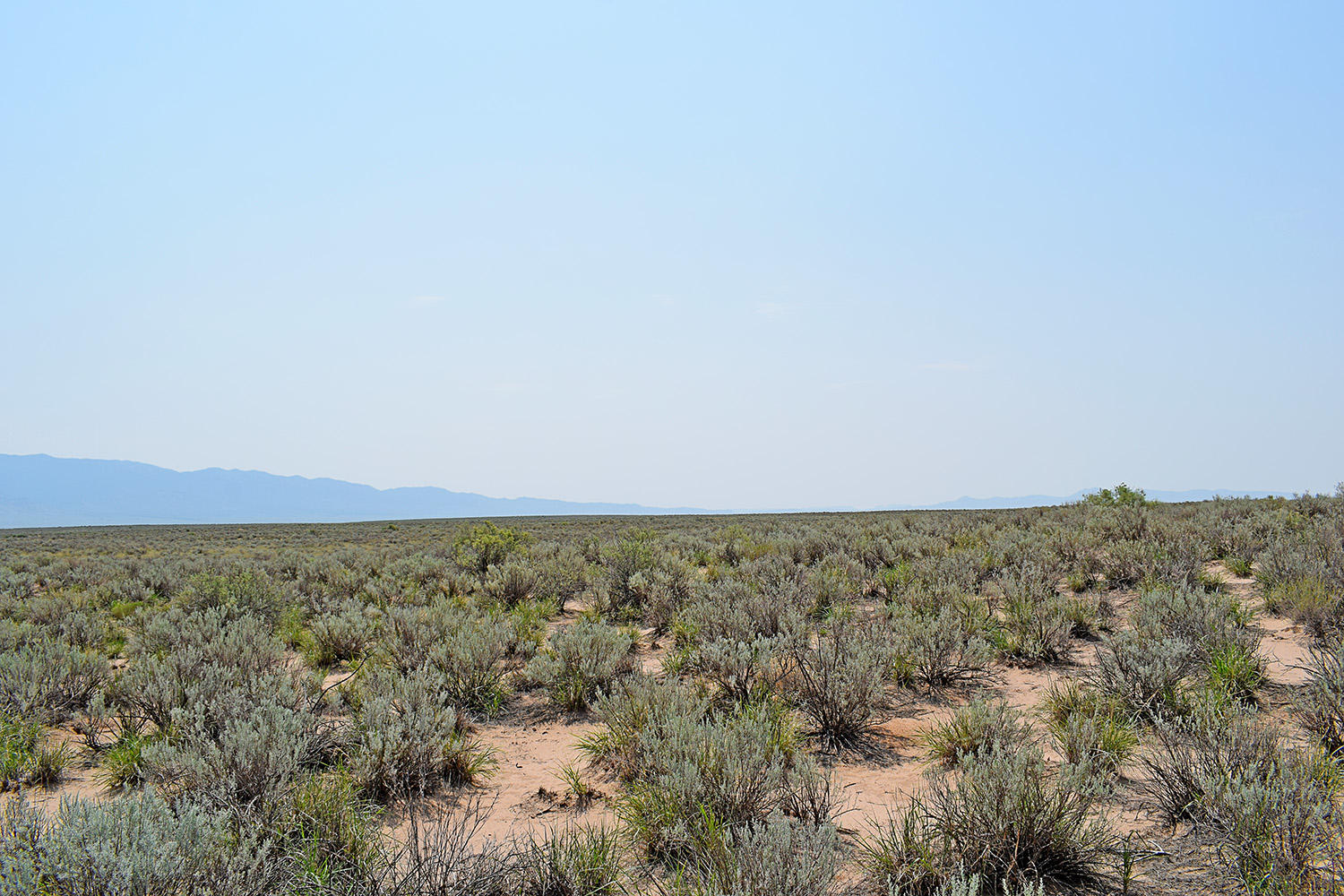 Lot 17 Rio Del Oro 14