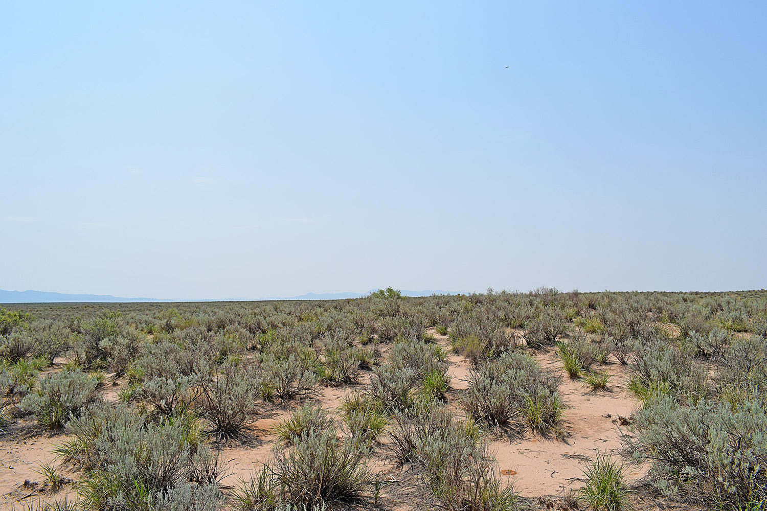 Lot 17 Rio Del Oro 14