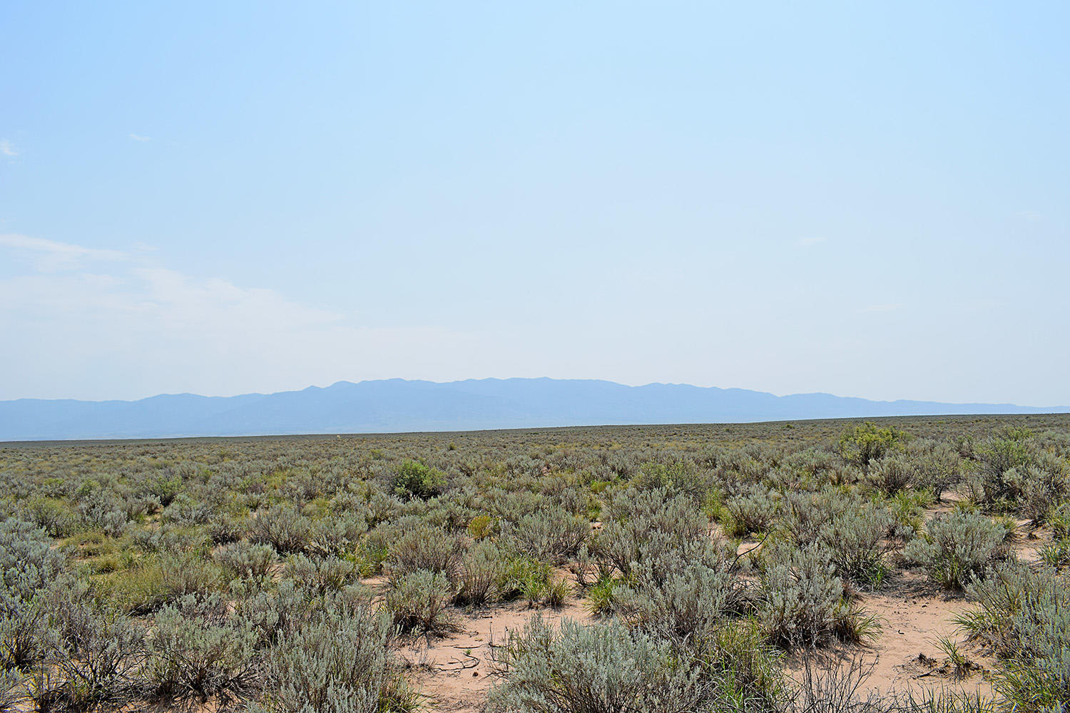 Lot 17 Rio Del Oro 14