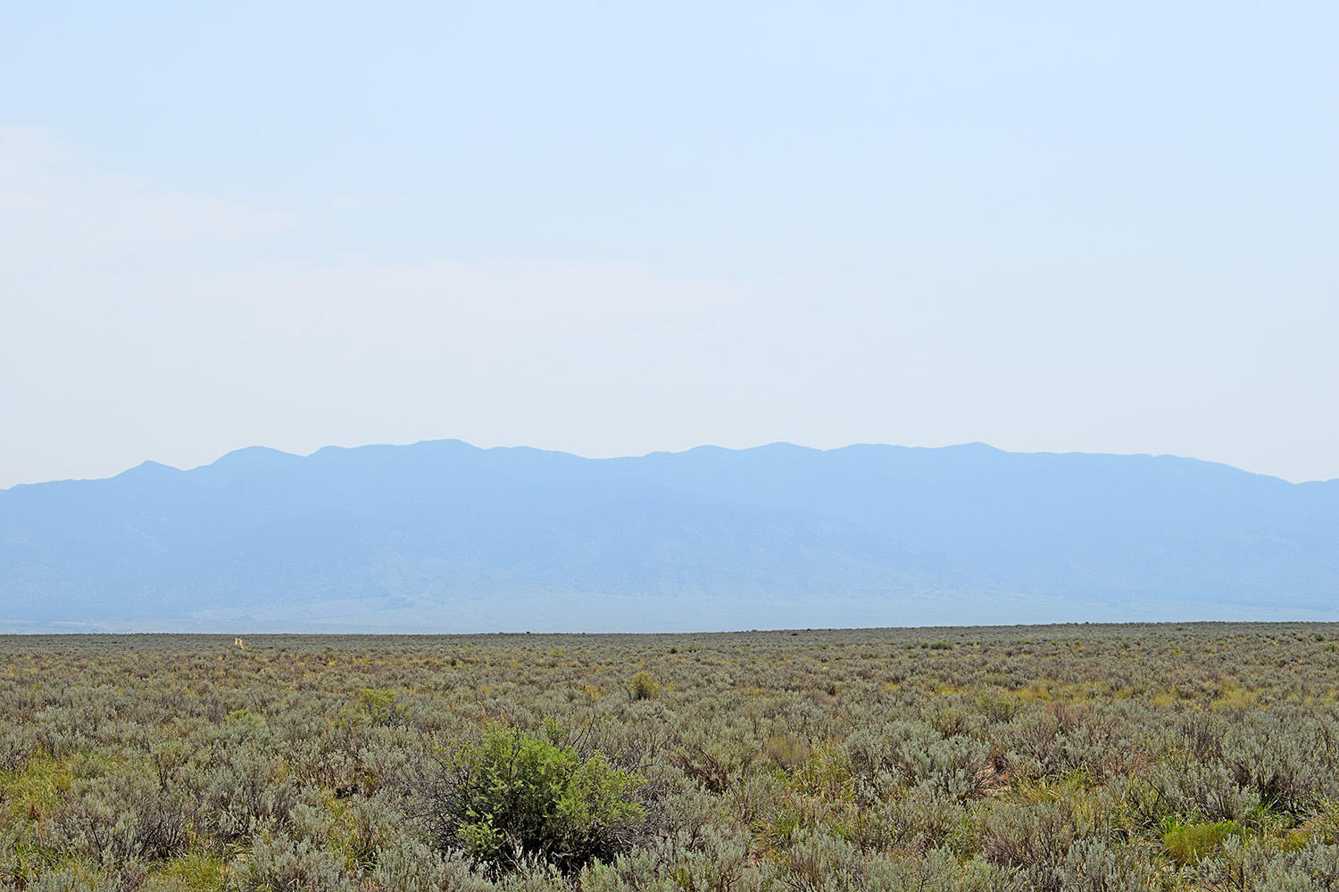 Lot 17 Rio Del Oro 14