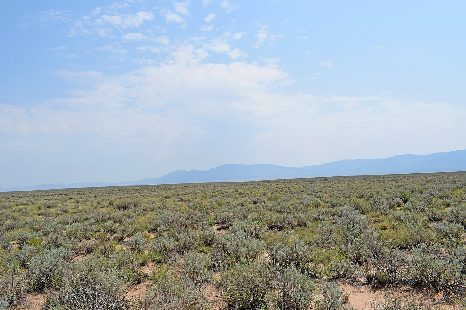 Lot 17 Rio Del Oro 14