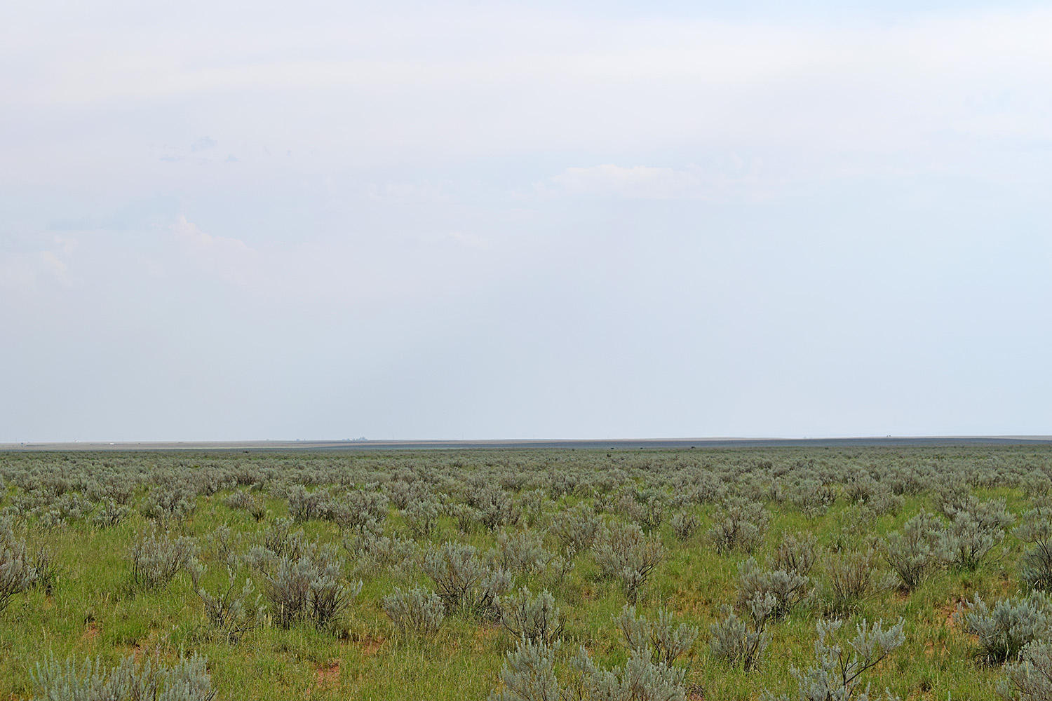 Lot 17 Rio Grande Estates 10