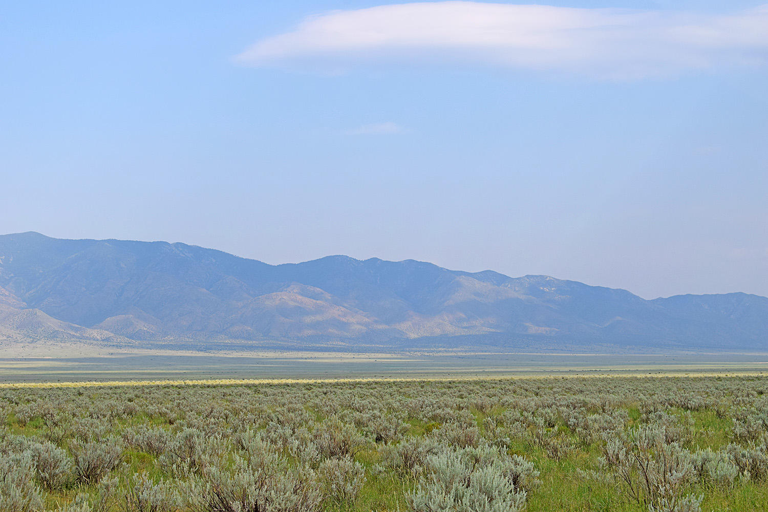 Lot 17 Rio Grande Estates 10