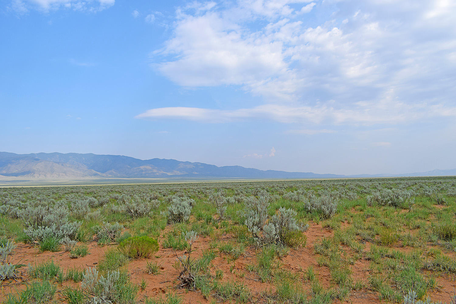 Lot 17 Rio Grande Estates 10