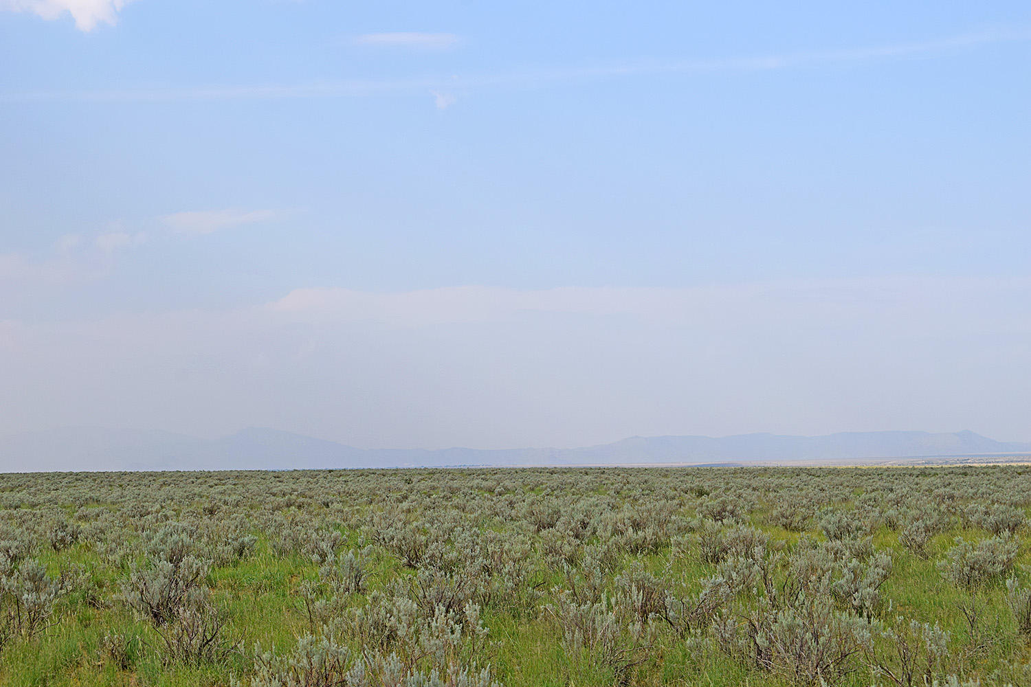 Lot 17 Rio Grande Estates 10