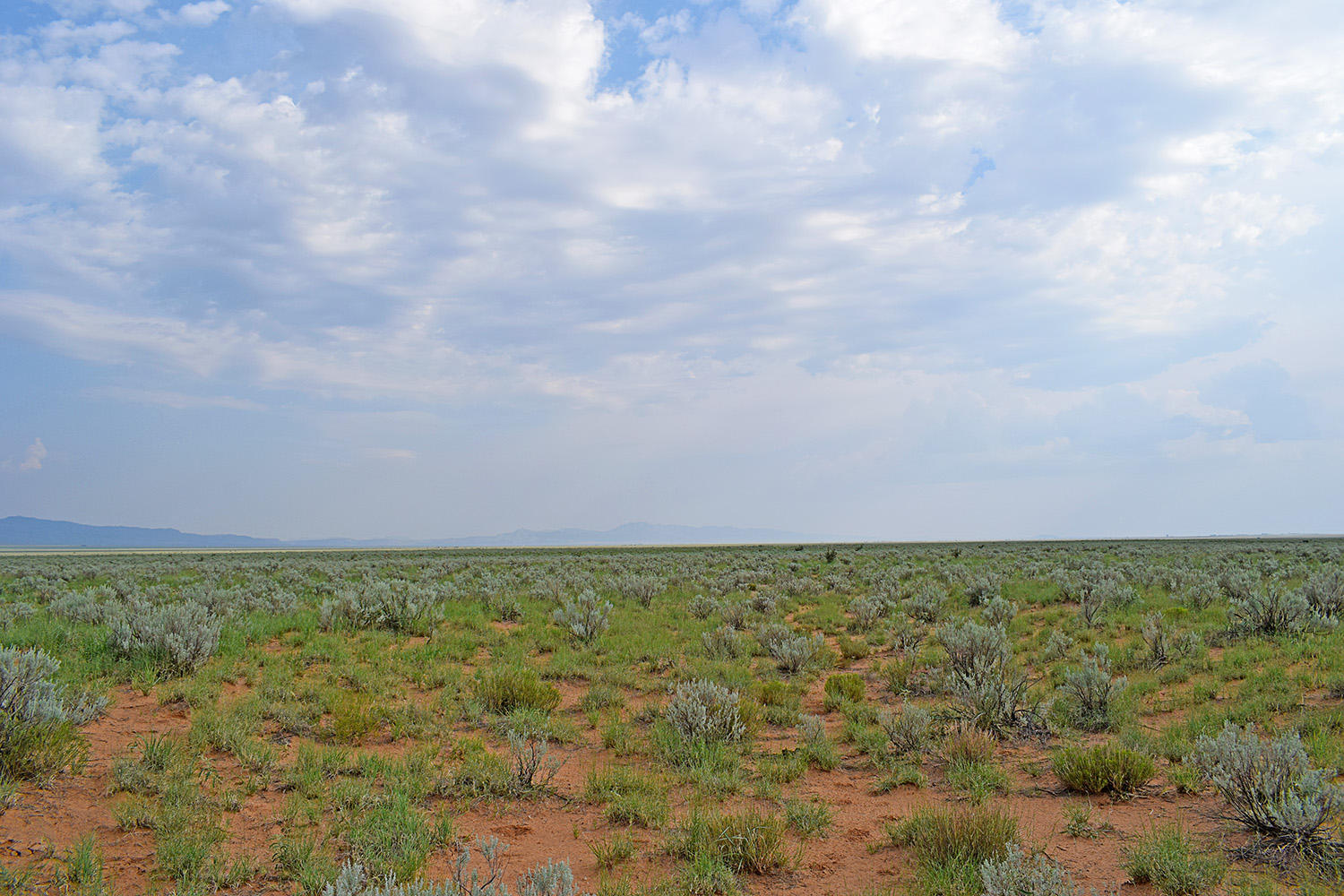 Lot 17 Rio Grande Estates 10