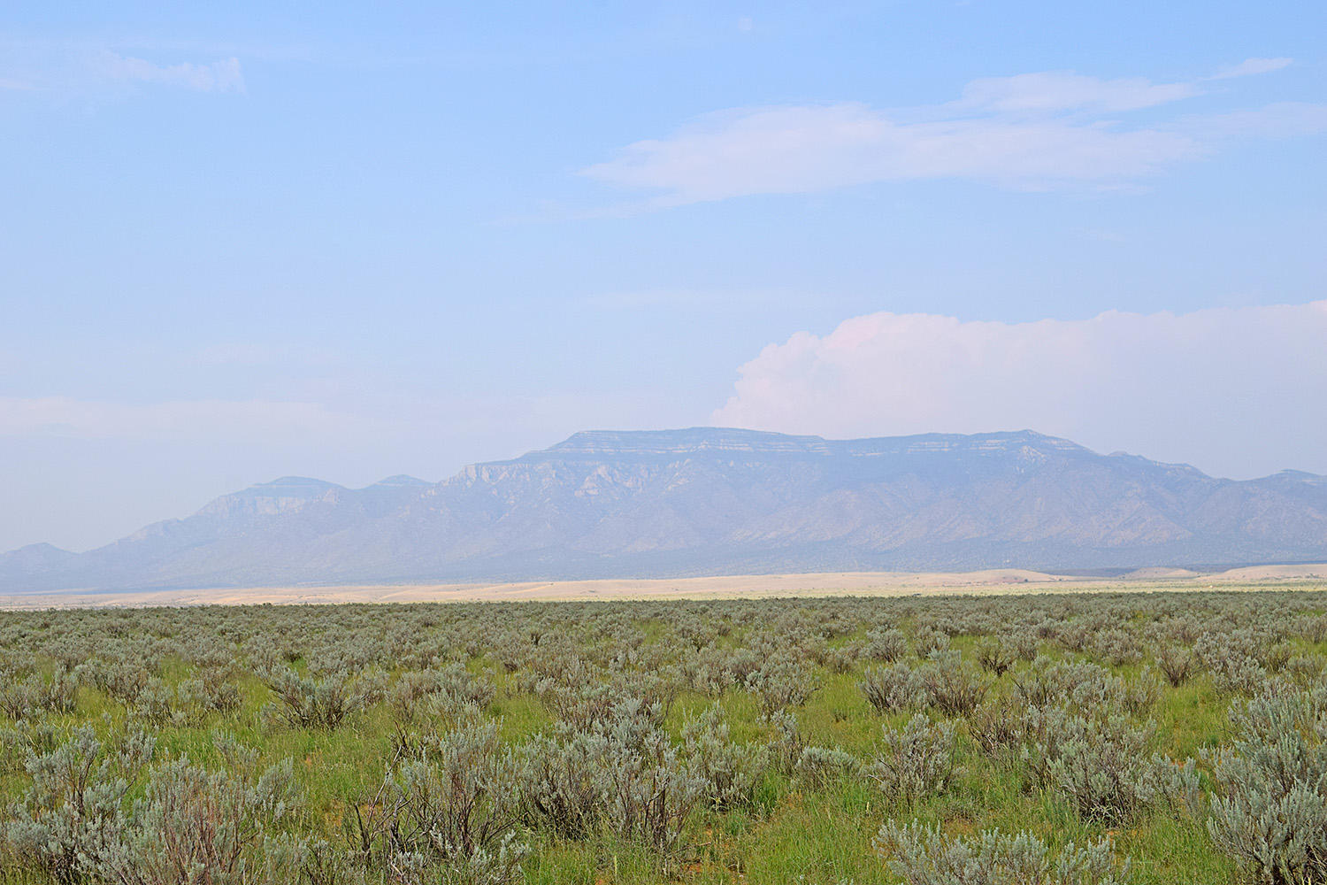 Lot 17 Rio Grande Estates 10