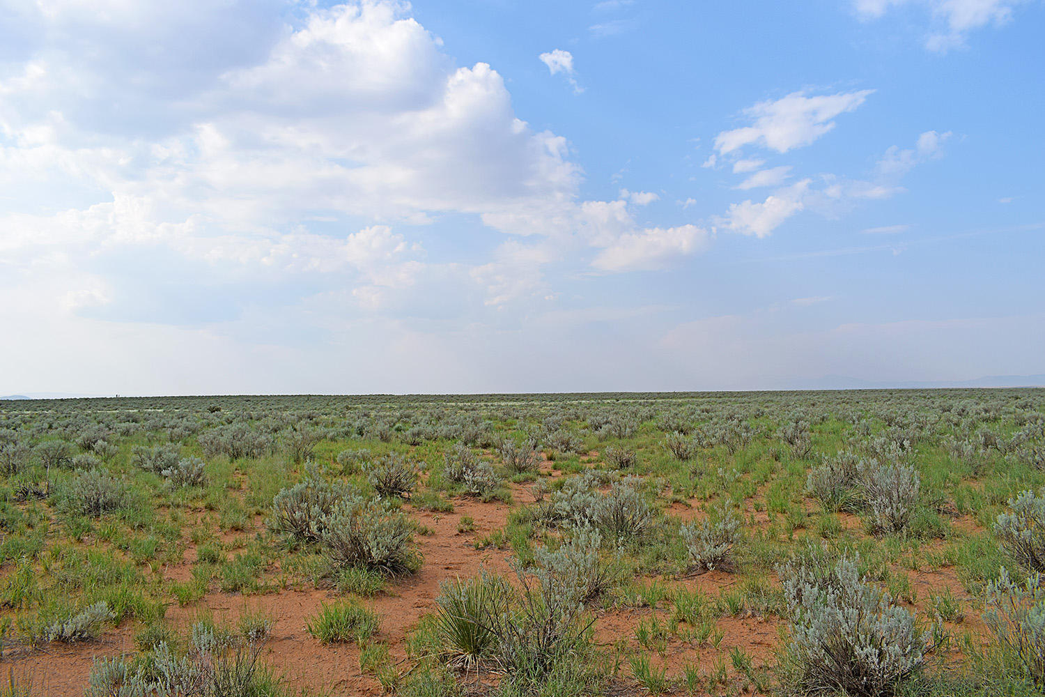 Lot 17 Rio Grande Estates 10