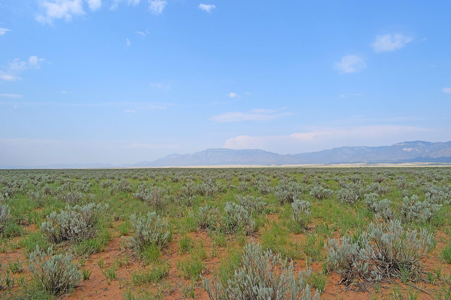 Lot 17 Rio Grande Estates 10