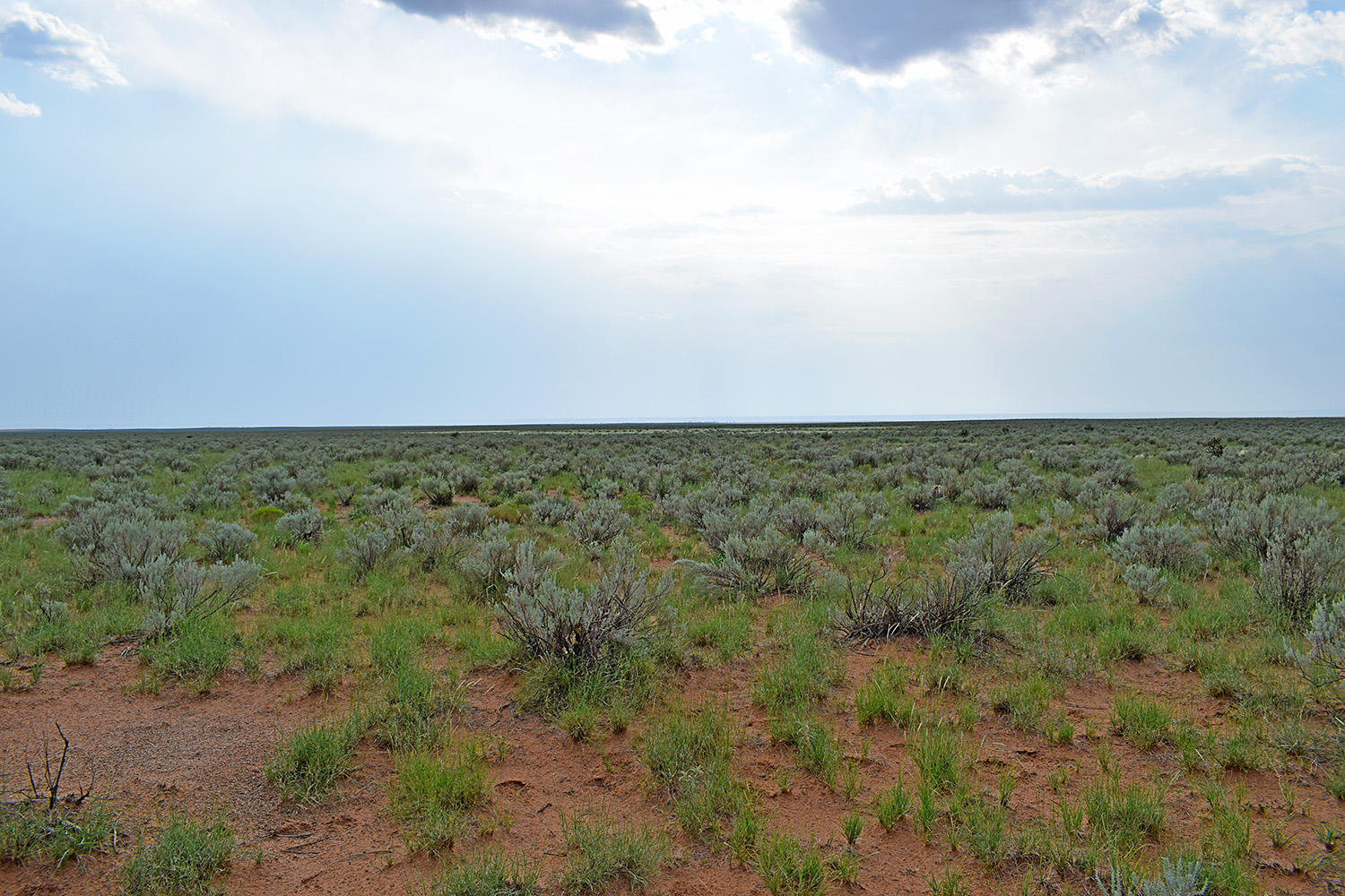 Lot 17 Rio Grande Estates 10