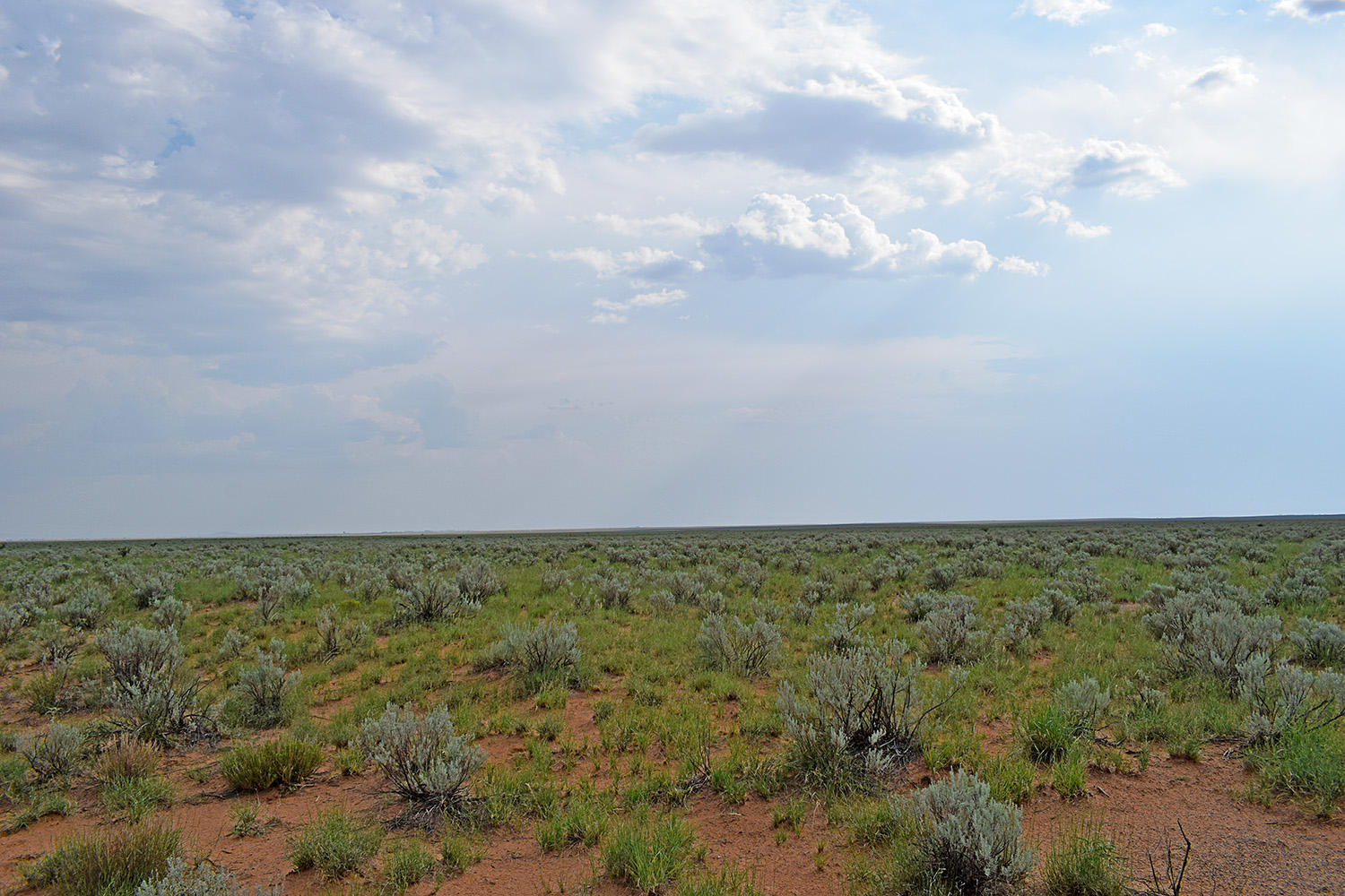 Lot 17 Rio Grande Estates 10