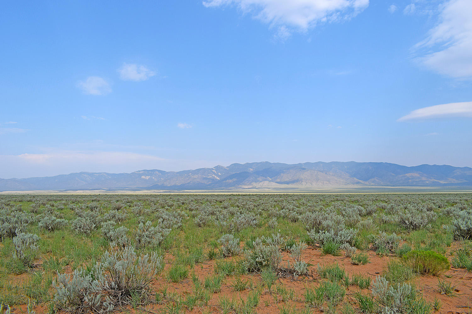 Lot 17 Rio Grande Estates 10