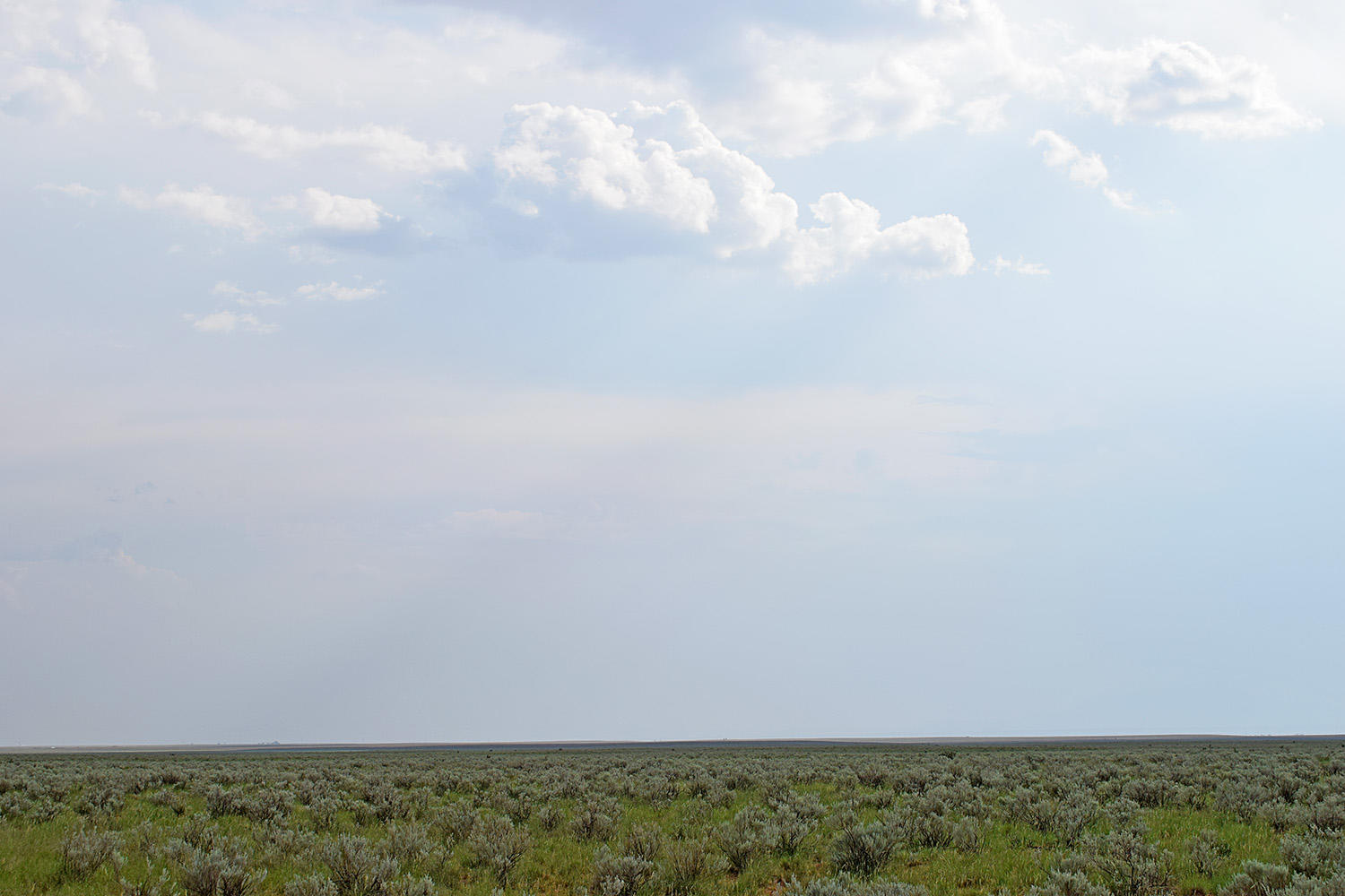 Lot 17 Rio Grande Estates 10