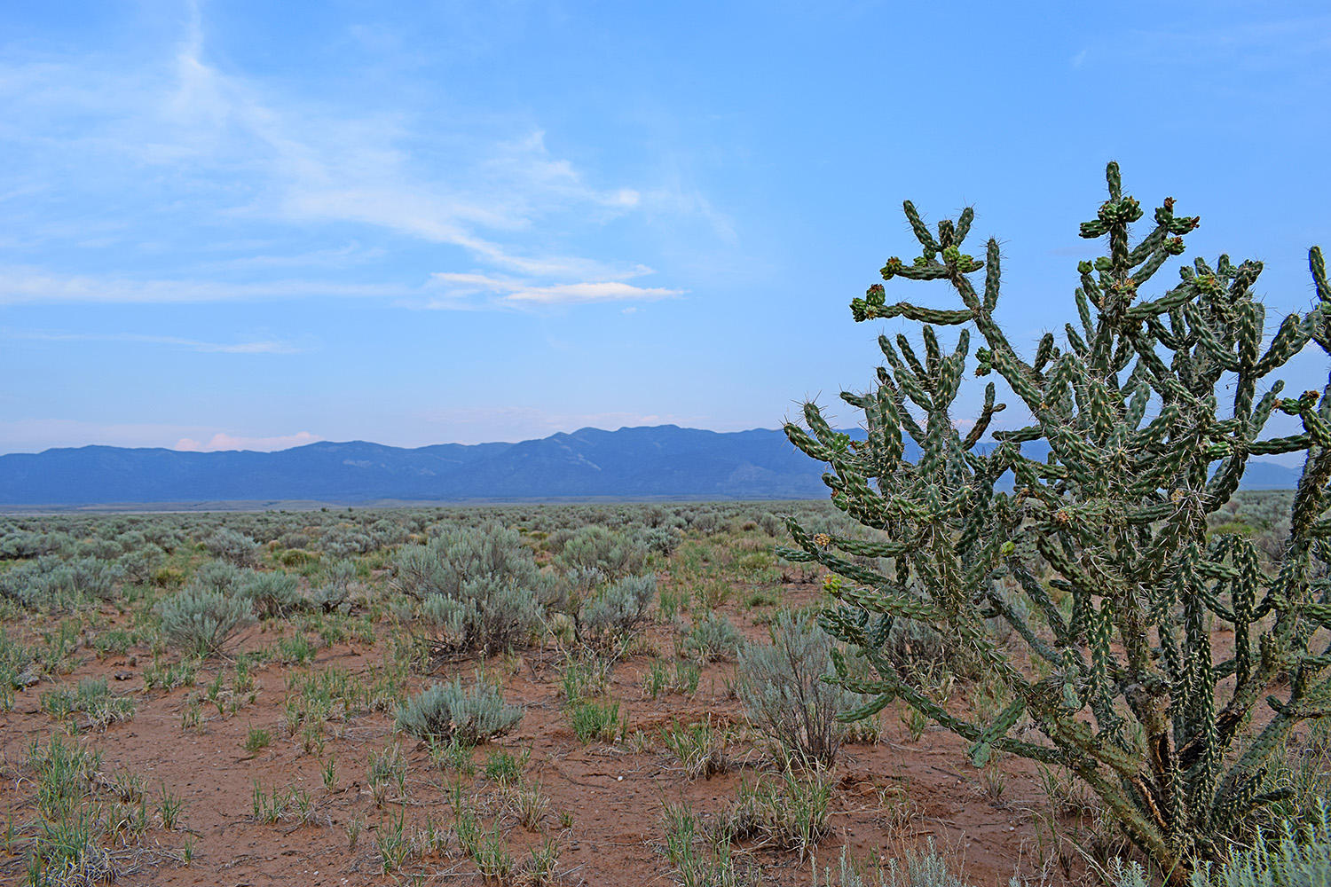 Lot 181 Rancho Rio Grande 15e