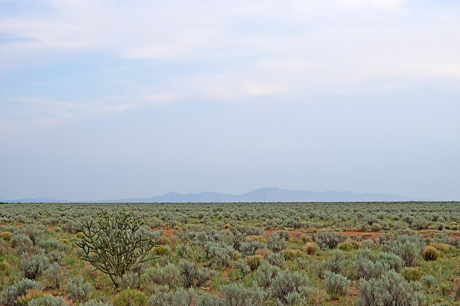 Lot 181 Rancho Rio Grande 15e
