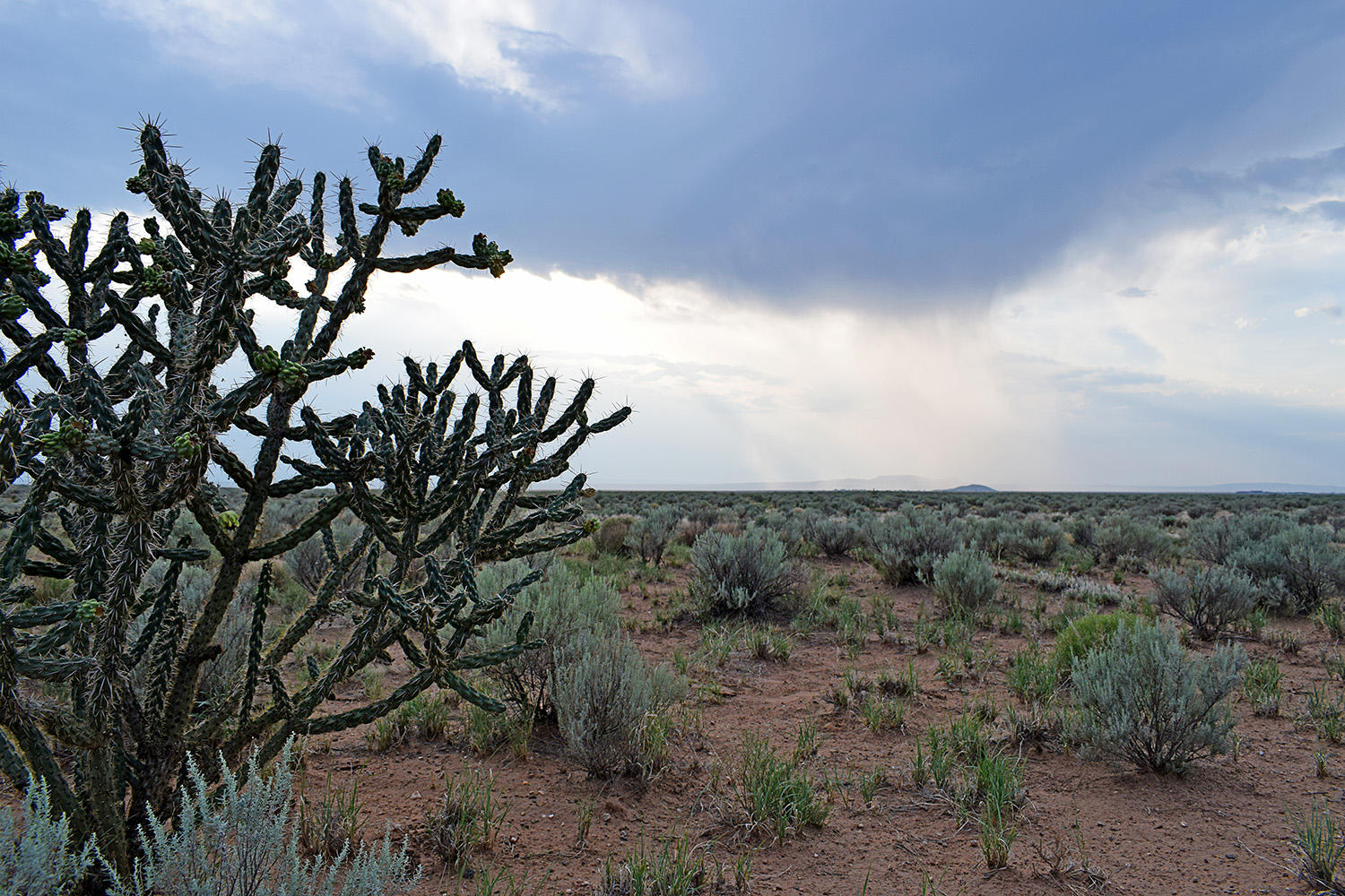 Lot 181 Rancho Rio Grande 15e