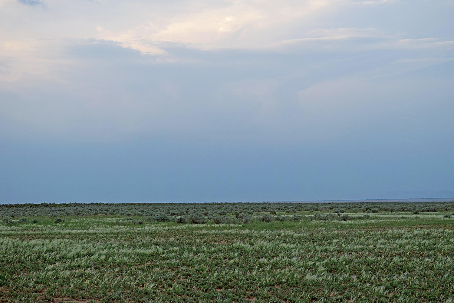 Lot 125 Rancho Rio Grande 11e