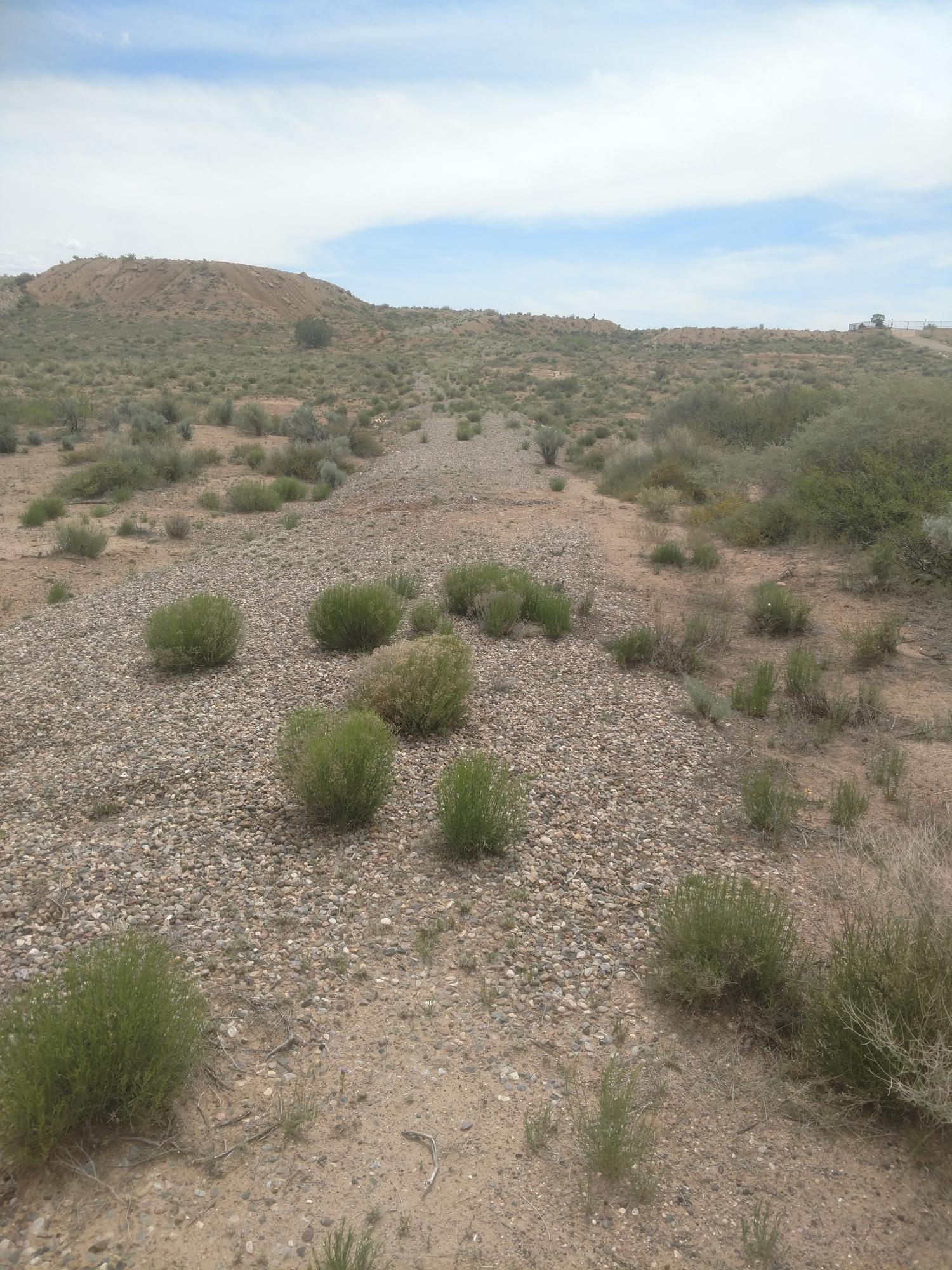 59 Estancia Road