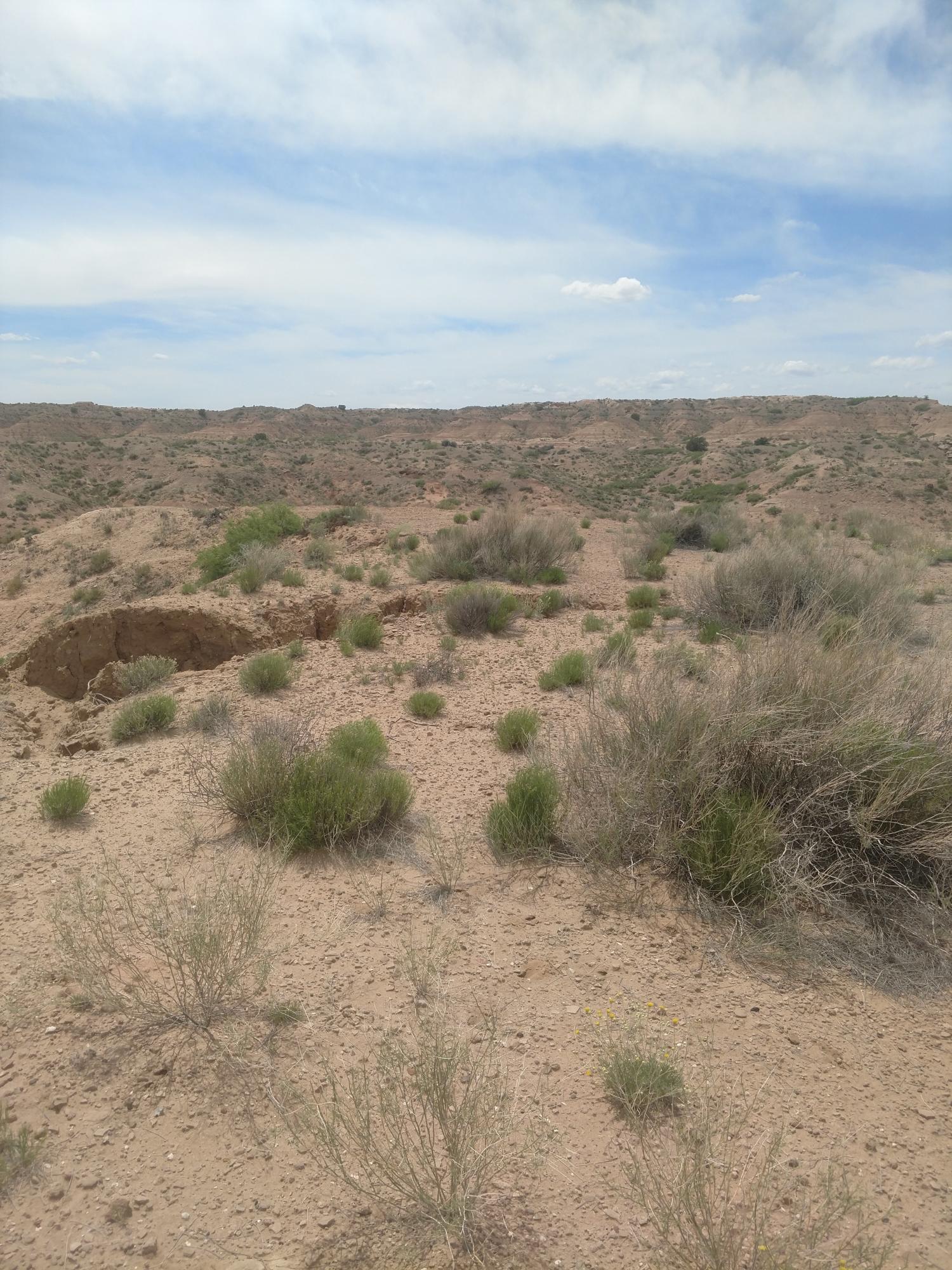 59 Estancia Road