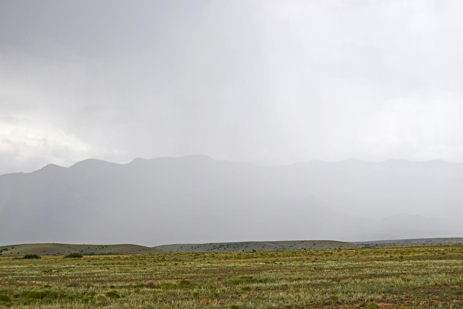 Lot 42 Rio Grande Estates S