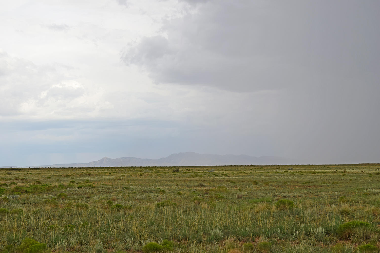 Lot 42 Rio Grande Estates S