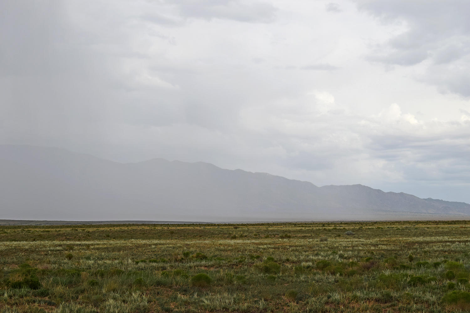 Lot 42 Rio Grande Estates S