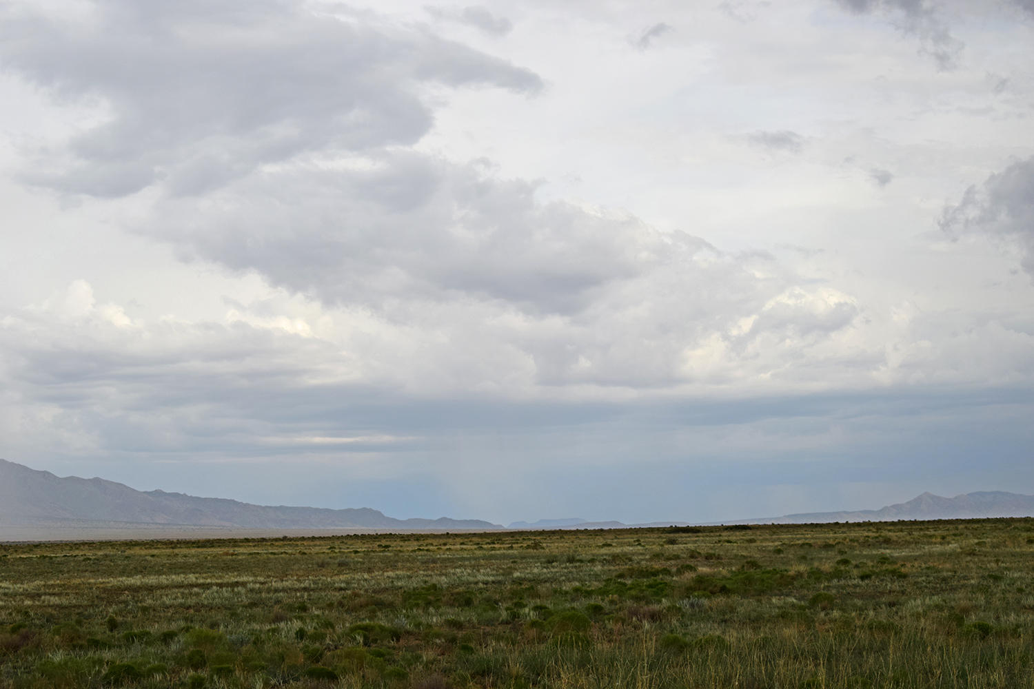 Lot 42 Rio Grande Estates S