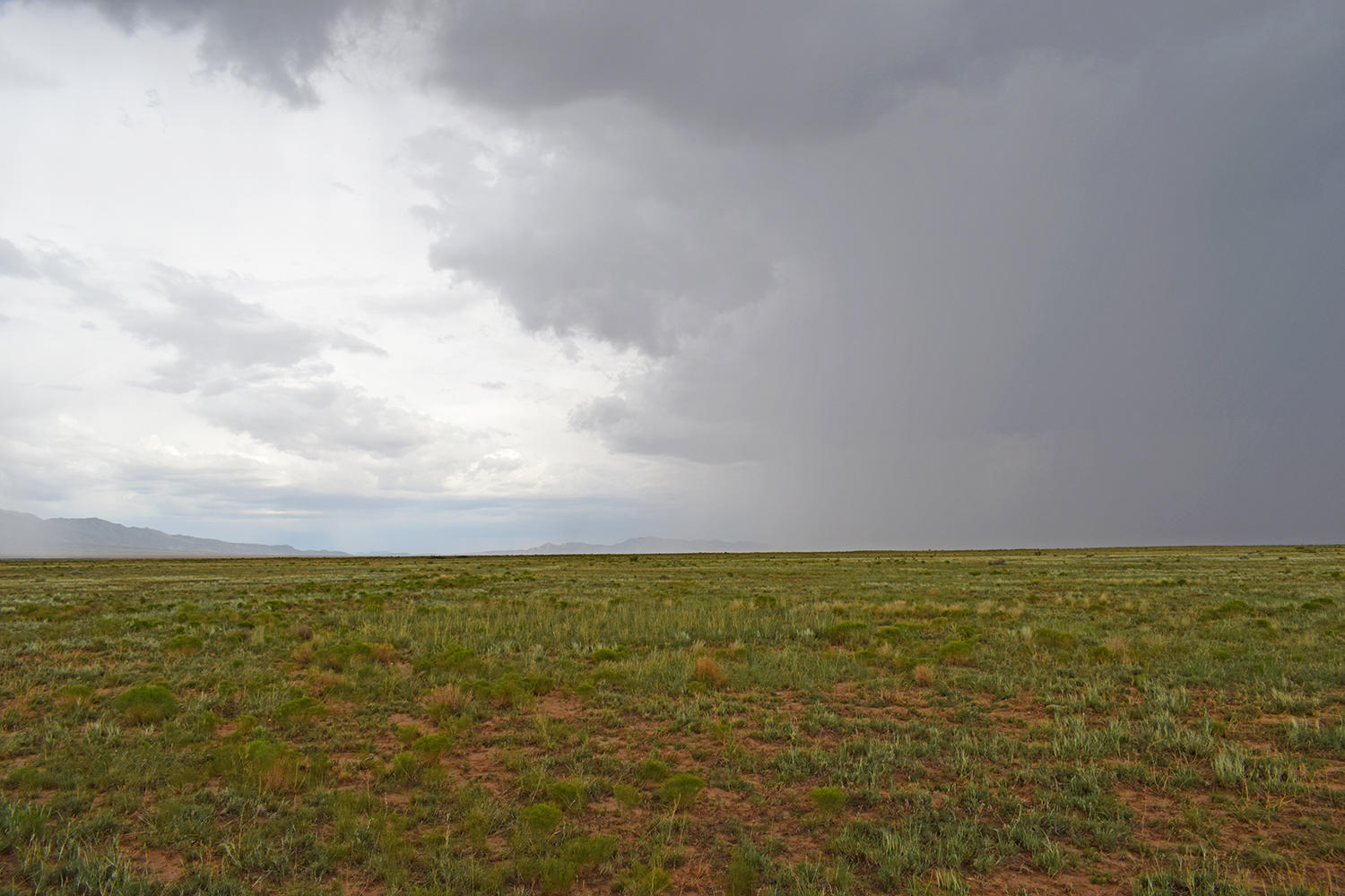Lot 42 Rio Grande Estates S